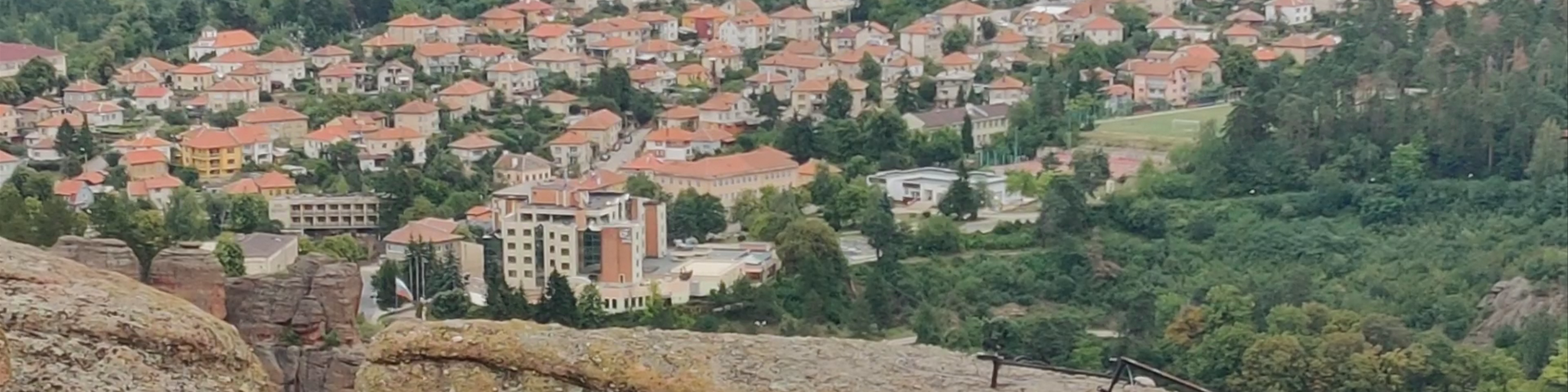 Vidin