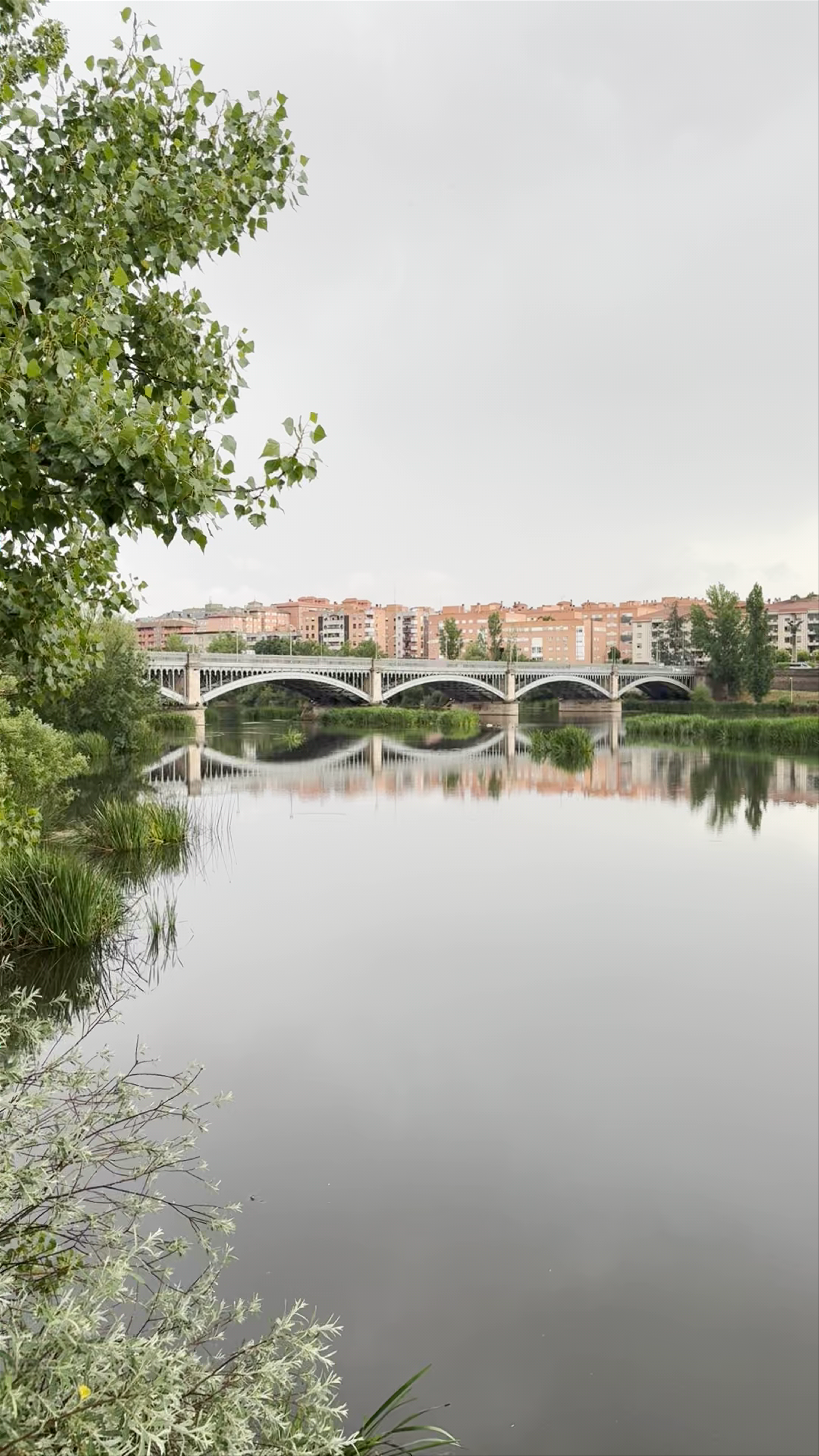 Mirador del Paseo Fluvial