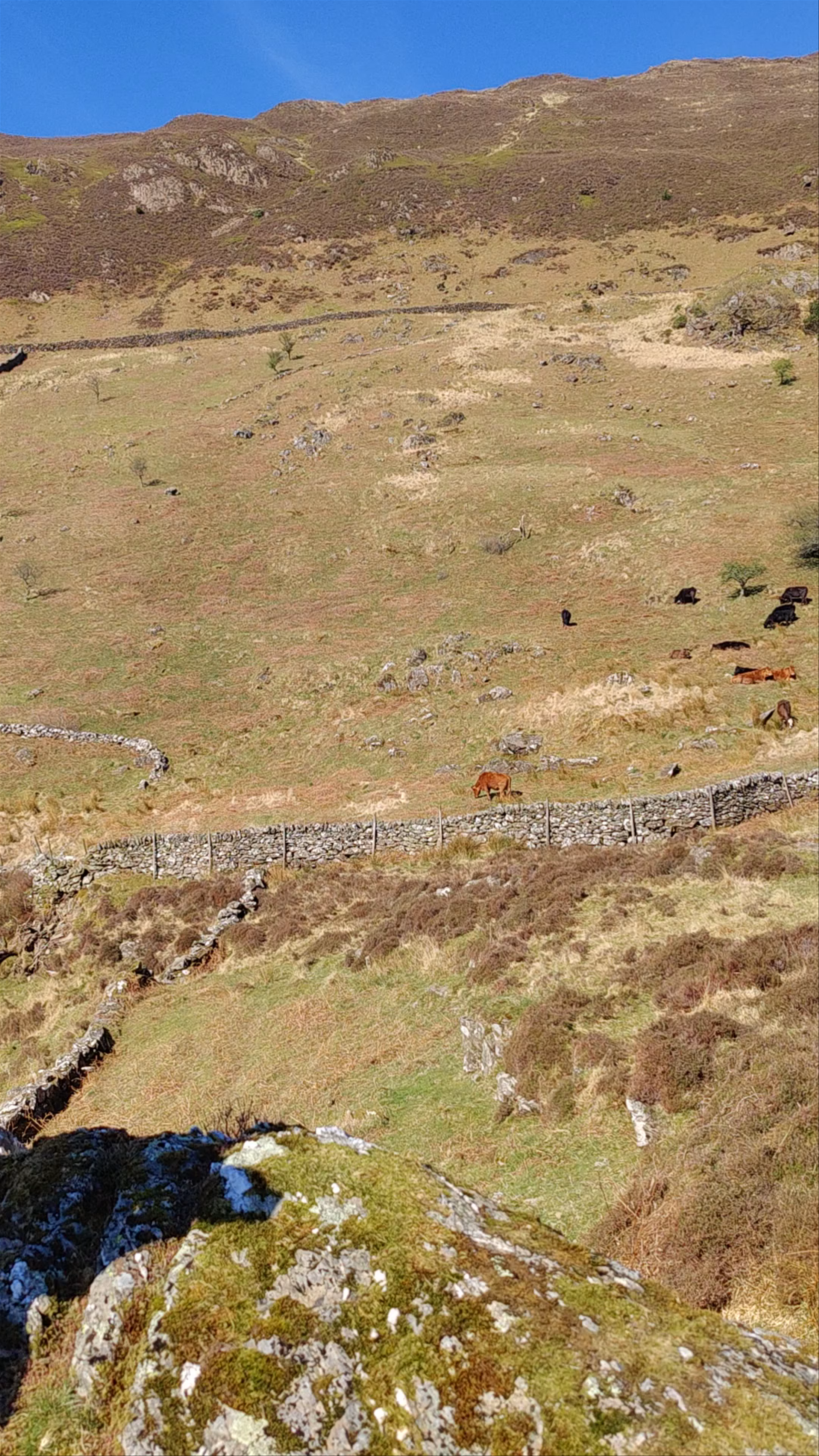 Craflwyn Nature Reserve