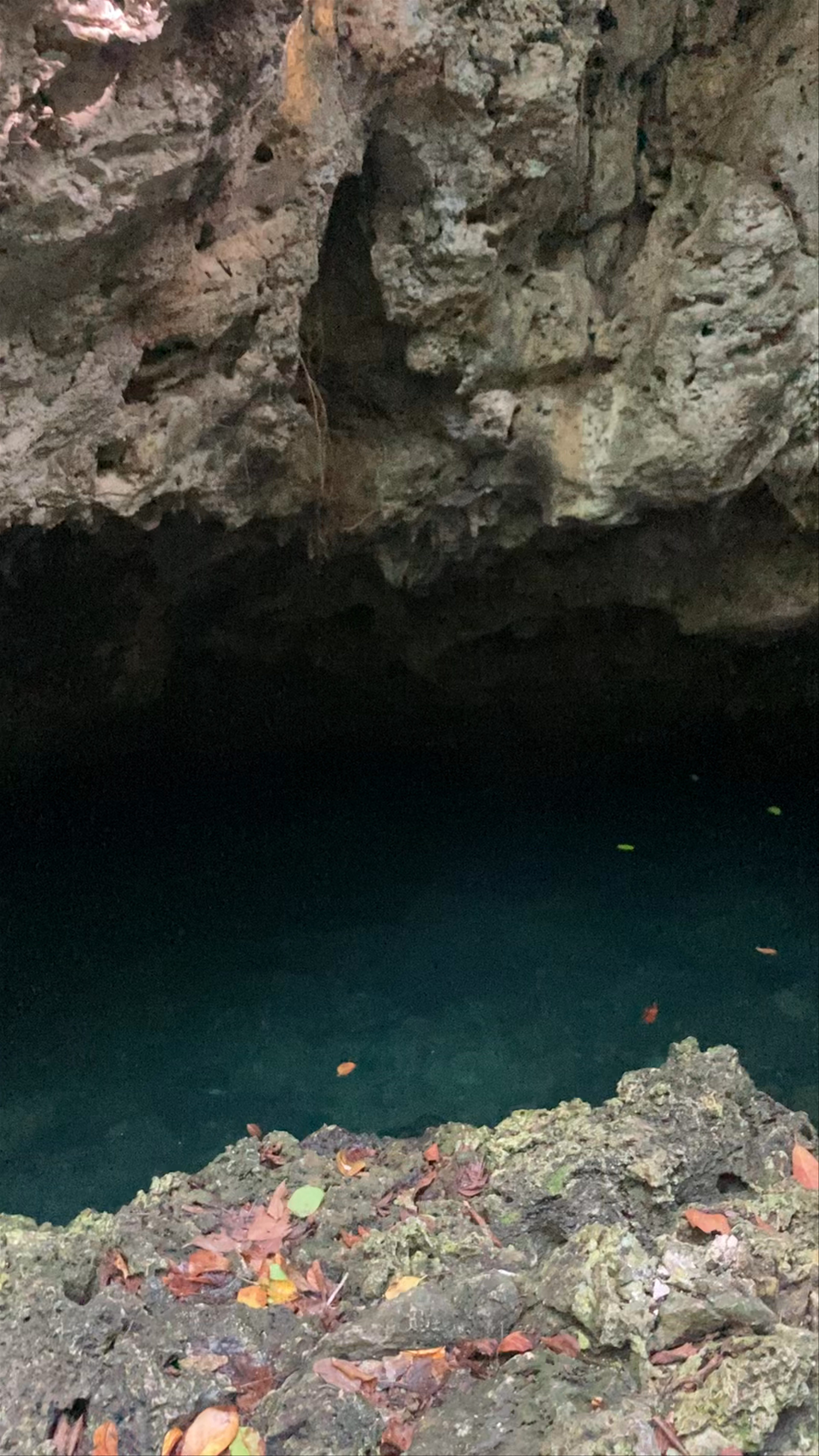 Utila fresh water caves