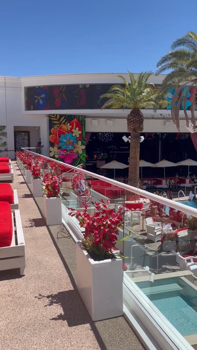 Review video 15 of 21 for Drai's Beachclub