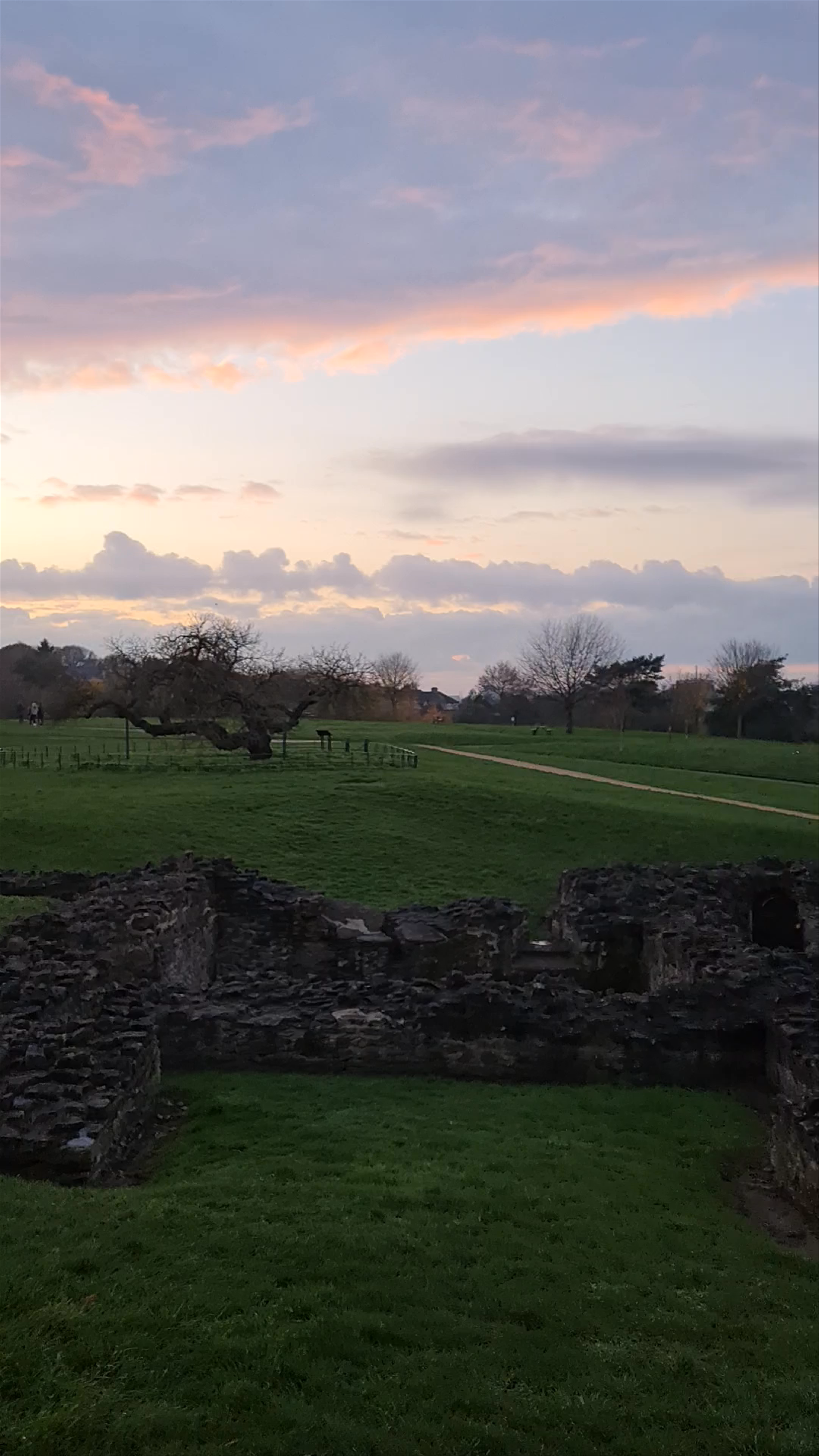 Lesnes Abbey Woods at Sunset: A Historic Nature Escape Near London
