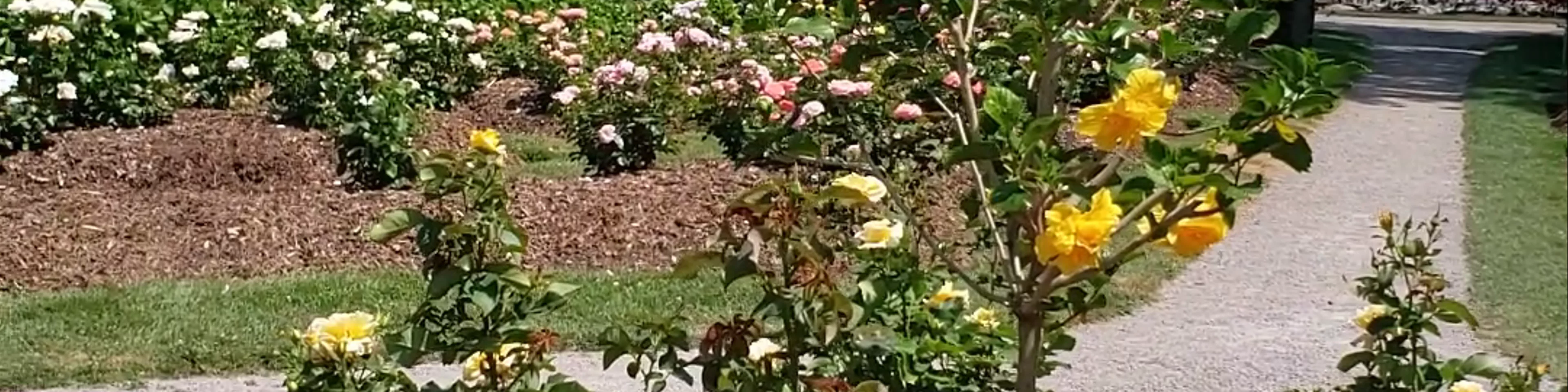 Gairloch Gardens