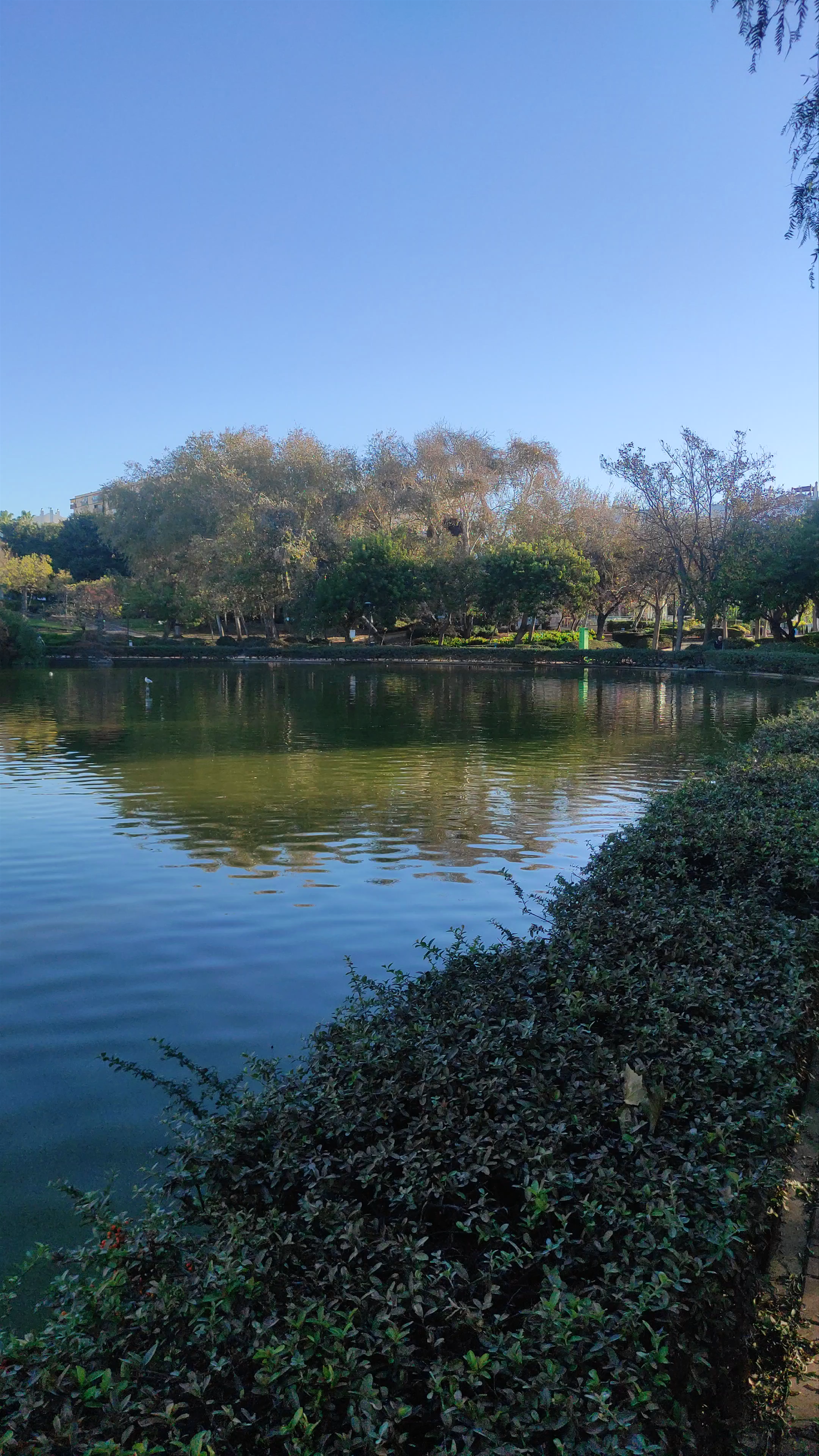 Parque de la Paloma
