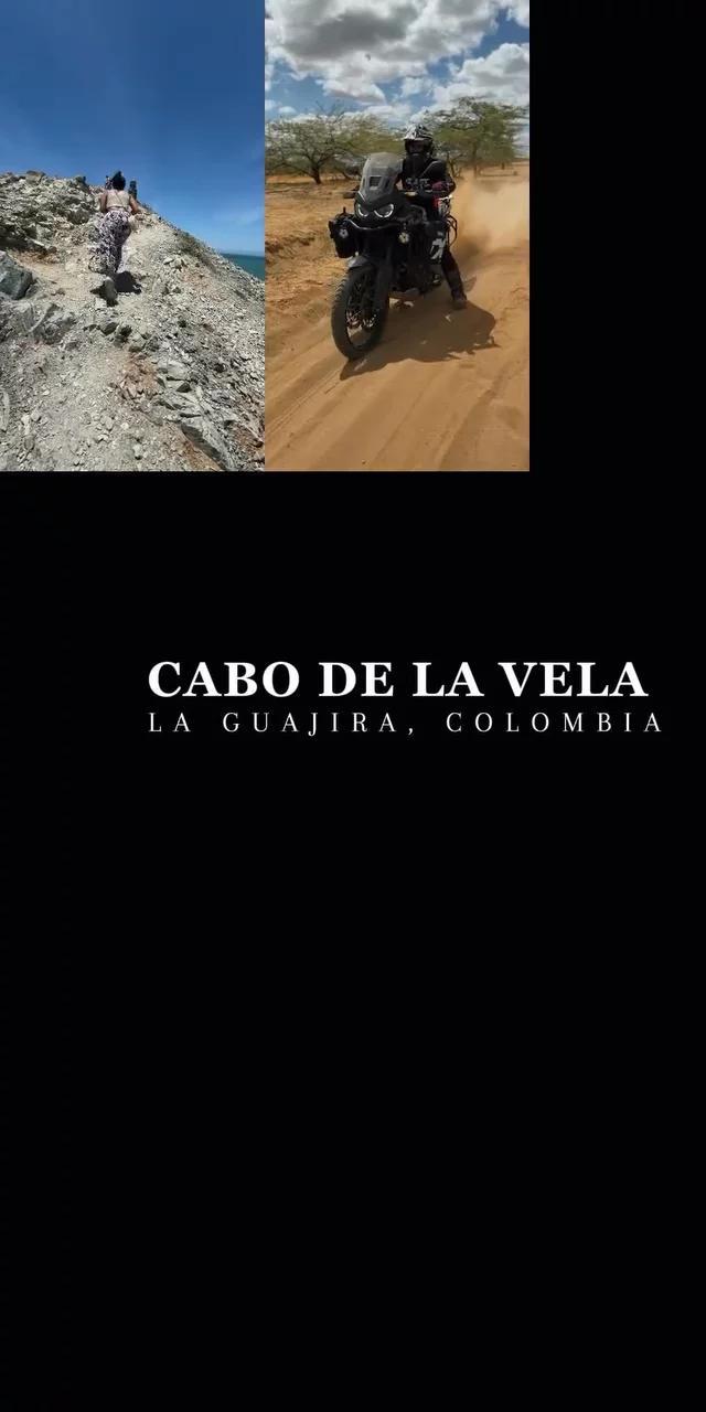 Contenido del creador