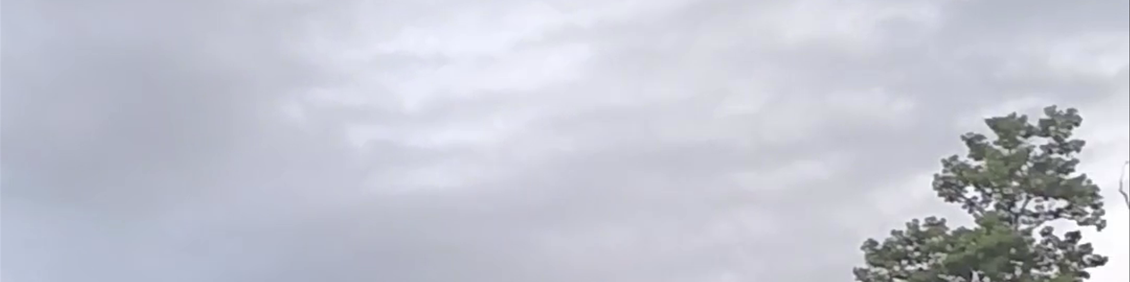 Limón