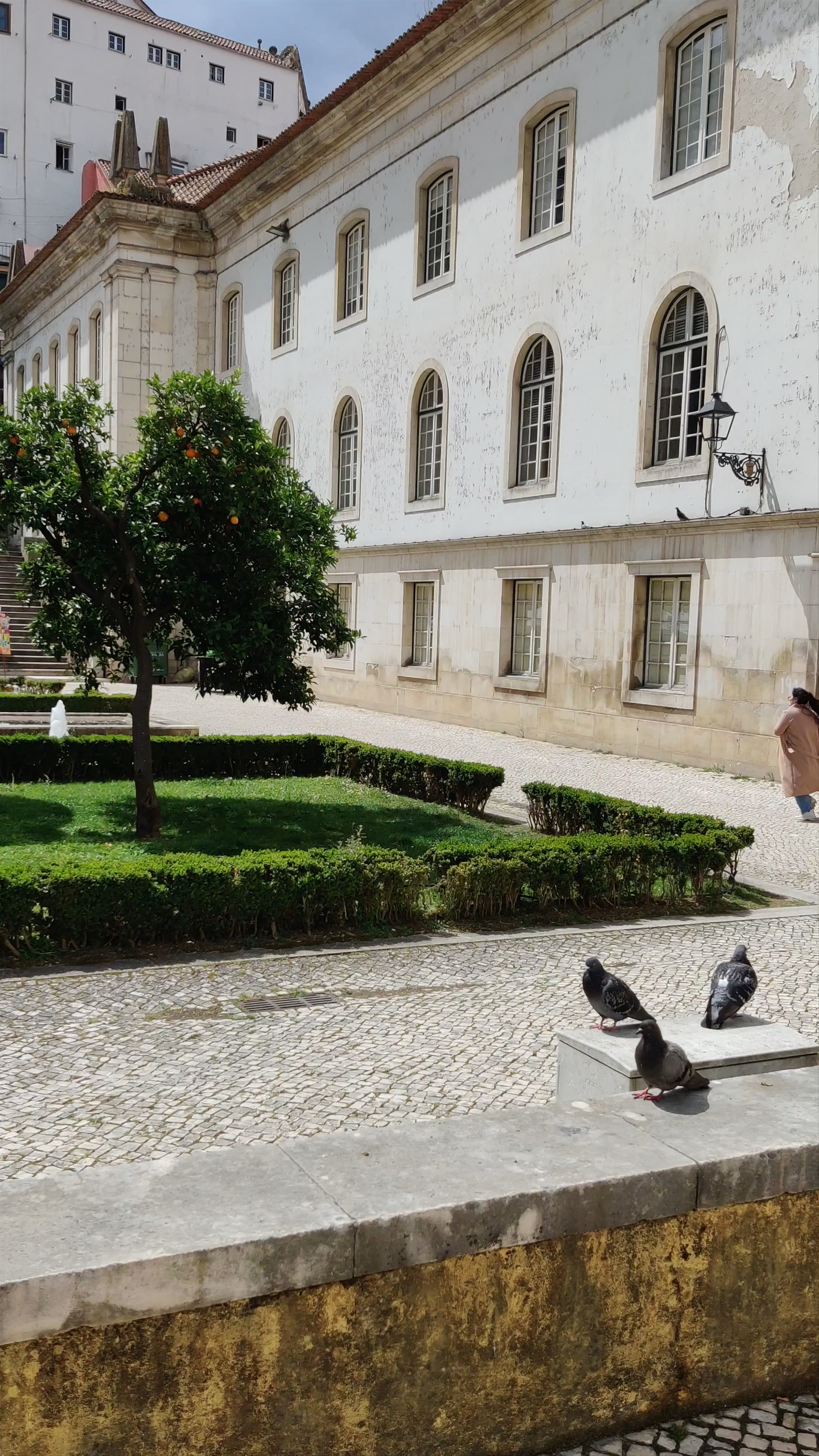 Fonte da Manga: Historic Serenity in Coimbra, Portugal