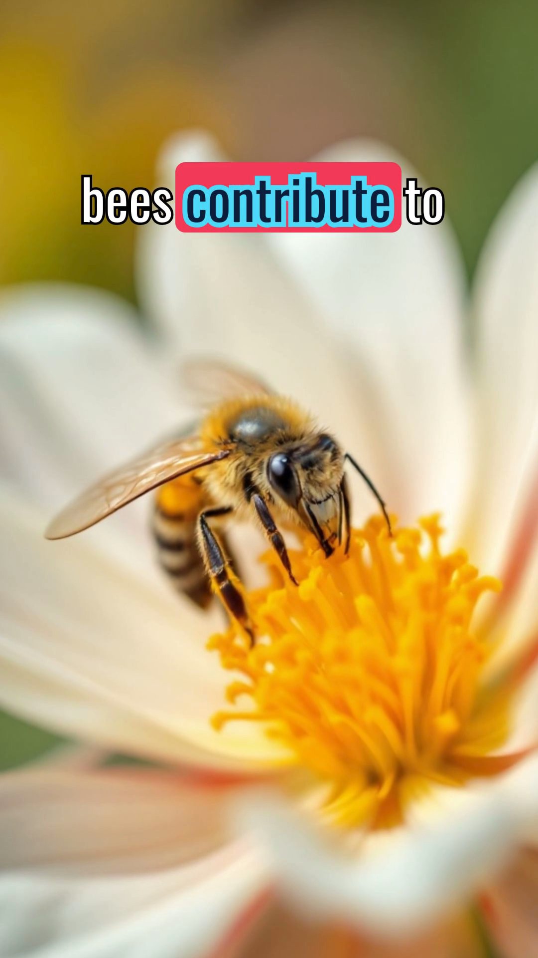 The Incredible World of Bees: Pollination, Honey Production, and Hive Hierarchy