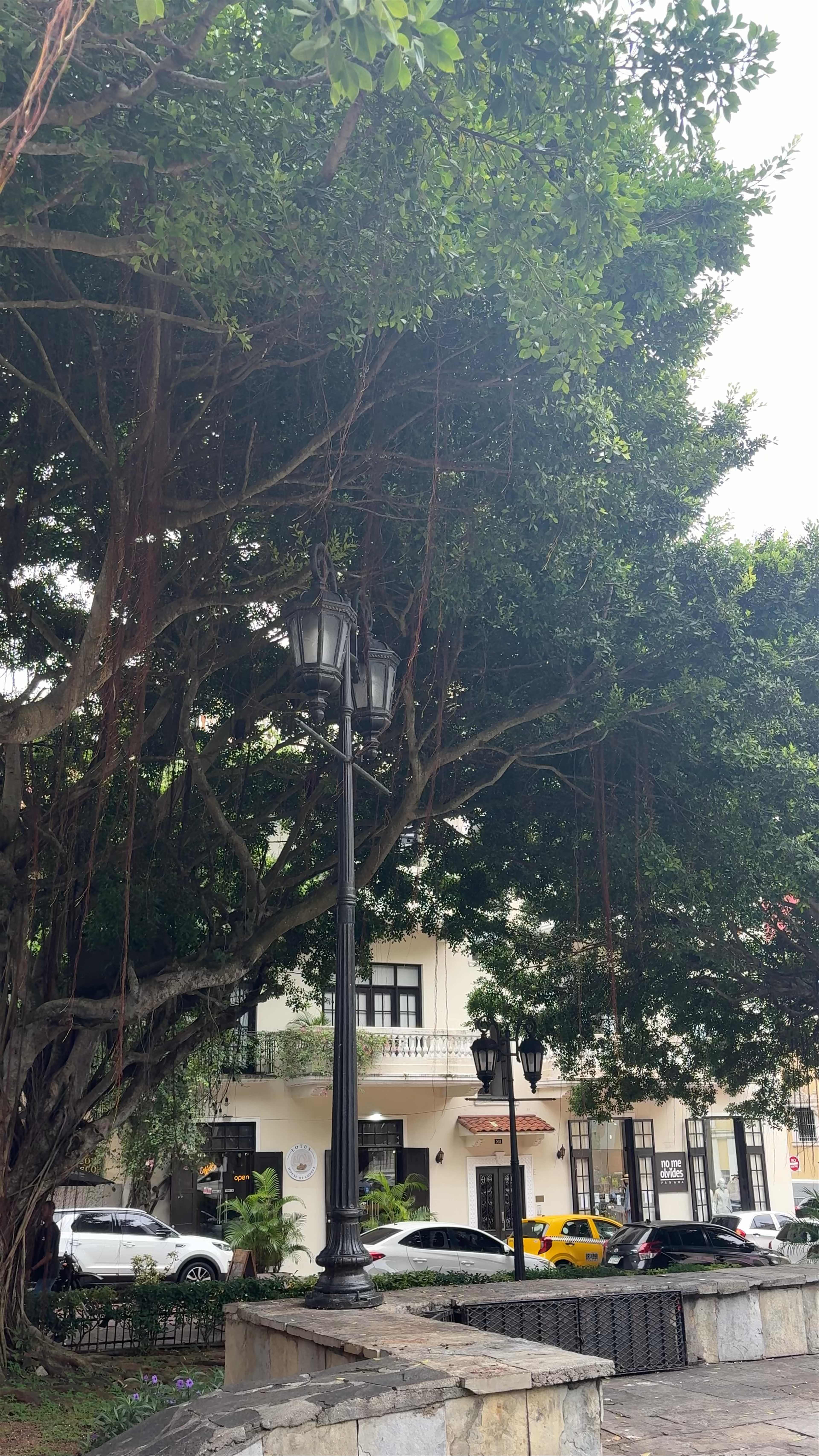 Estatua a Simon Bolivar