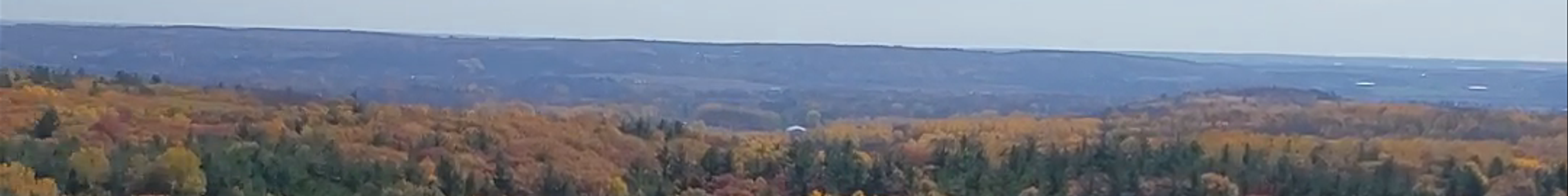 Tours & experiences in Quinte West