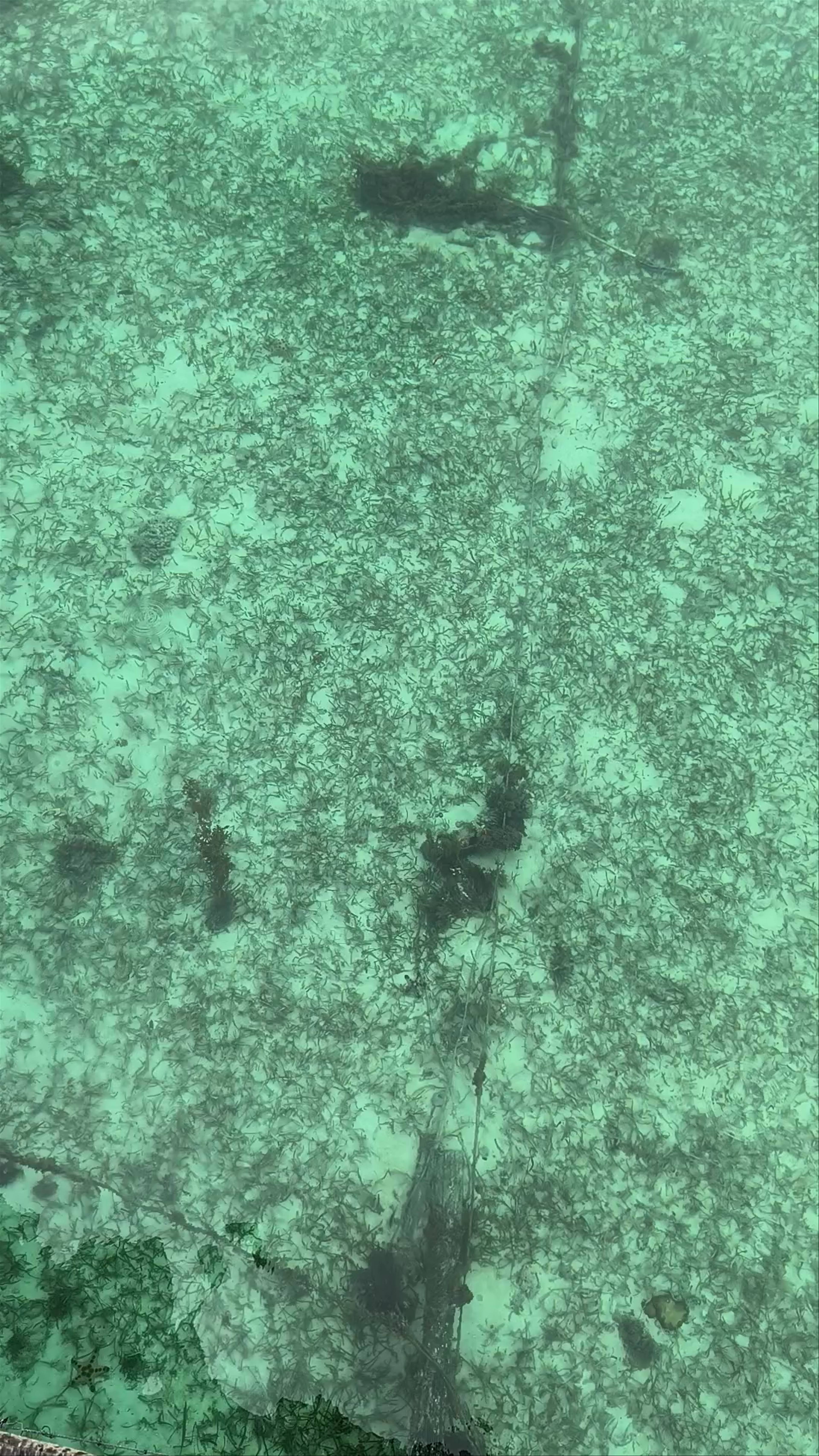 Sipadan-Mabul Resort