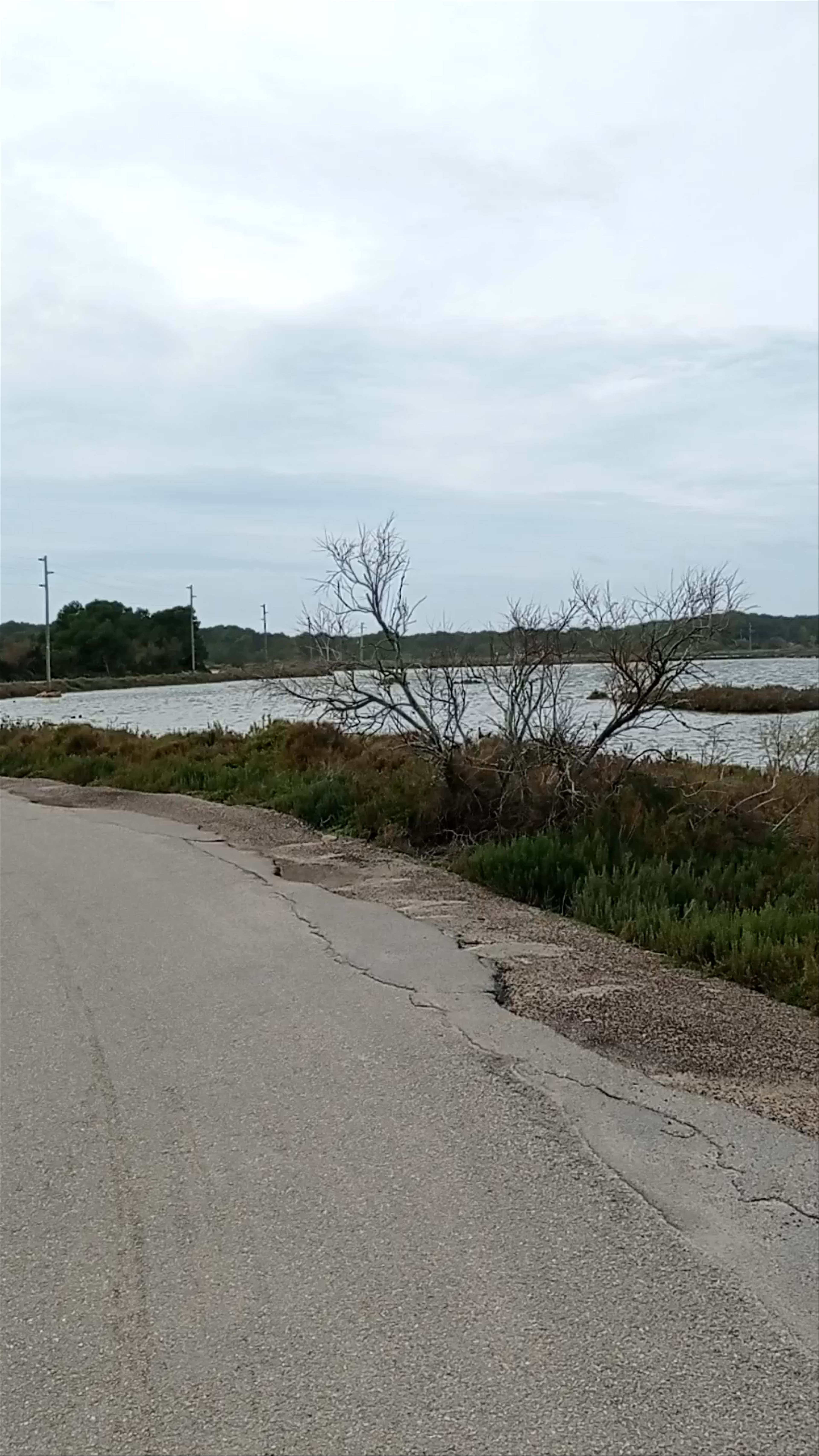 Serene Salt Flats and Coastal Wetlands at Salines de Llevant, Es Trenc, Spain