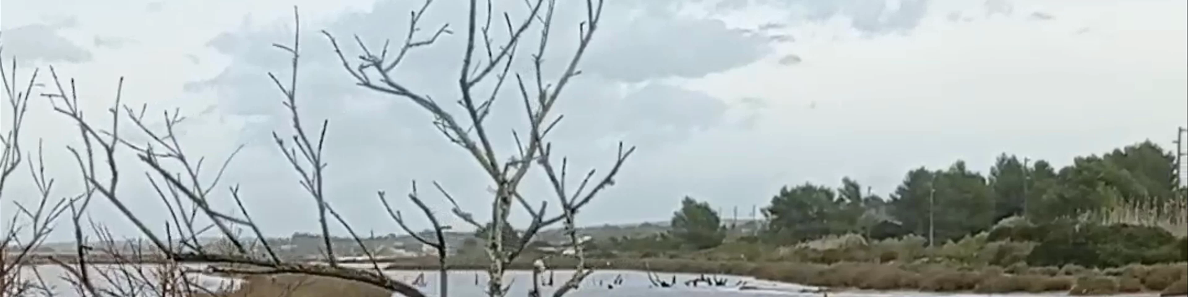 Salines de Llevant