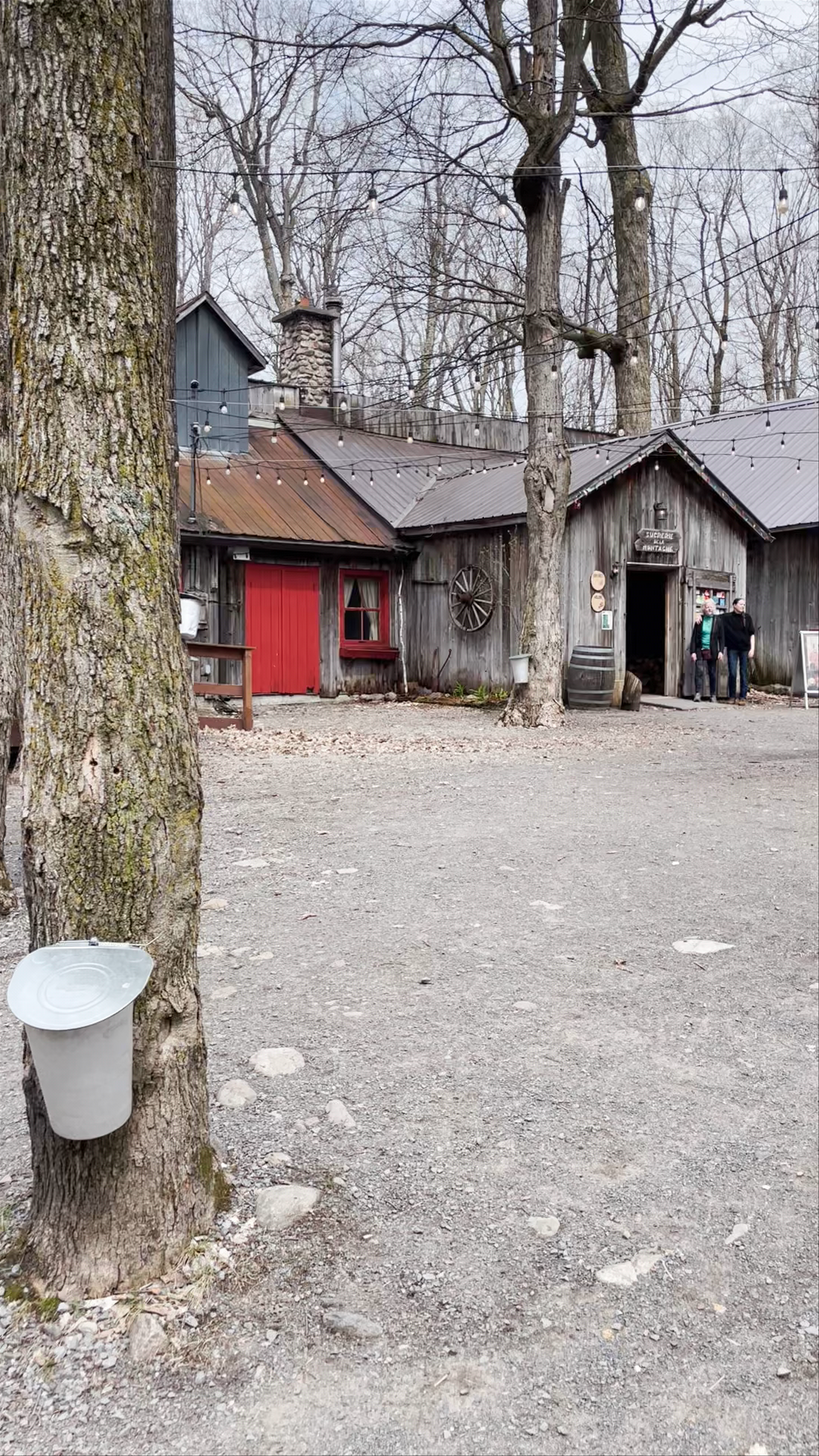 Sucrerie de la Montagne