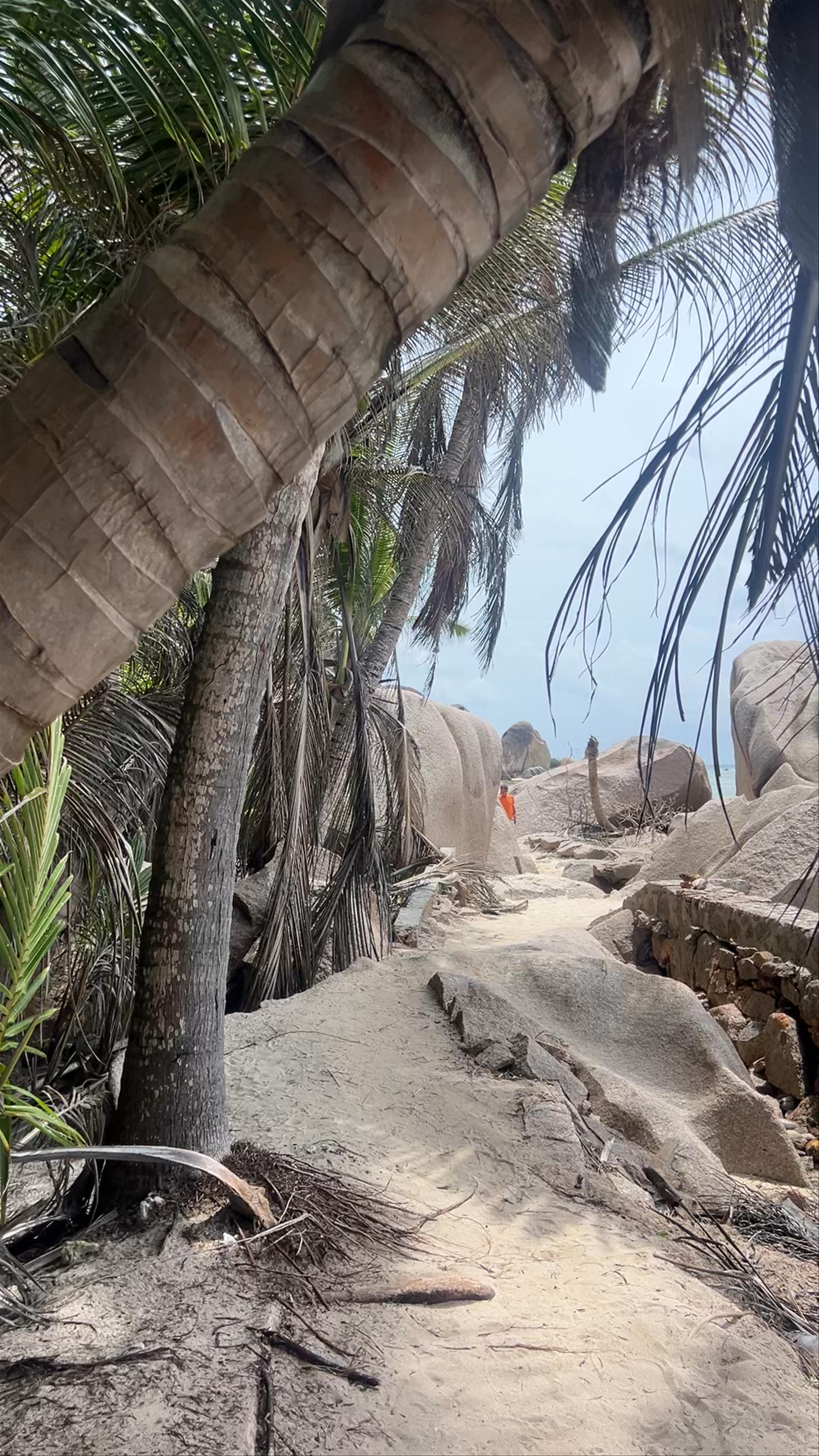 Anse Source d'Argent