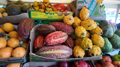 Les fruits du Pérou