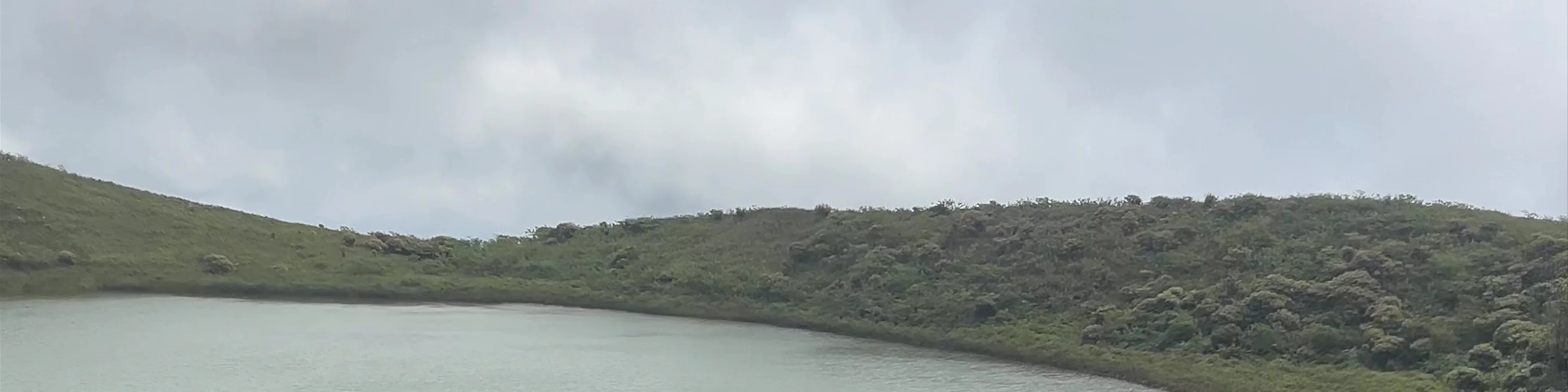 Laguna El Junco