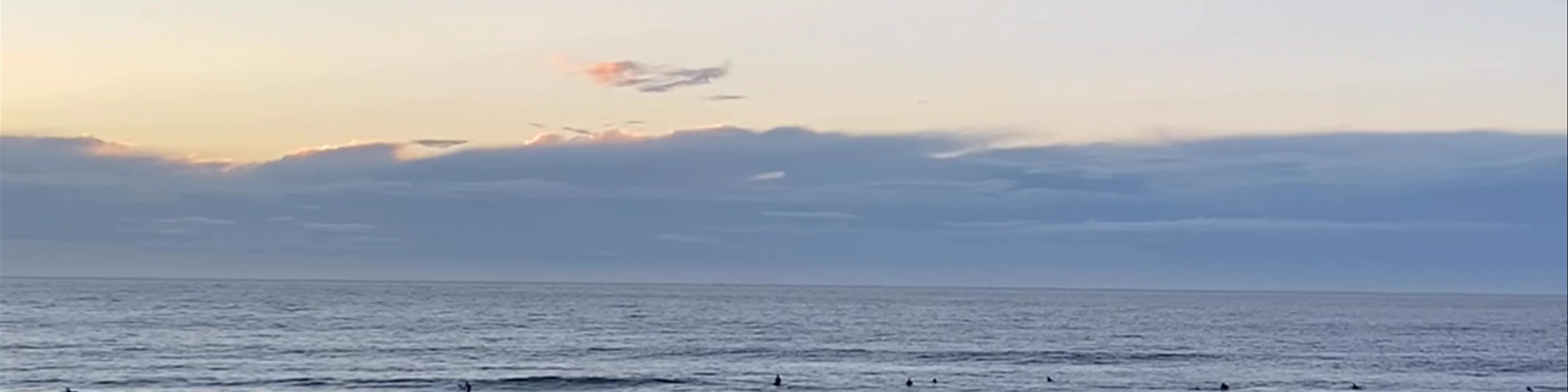 Scripps Seaside Forum