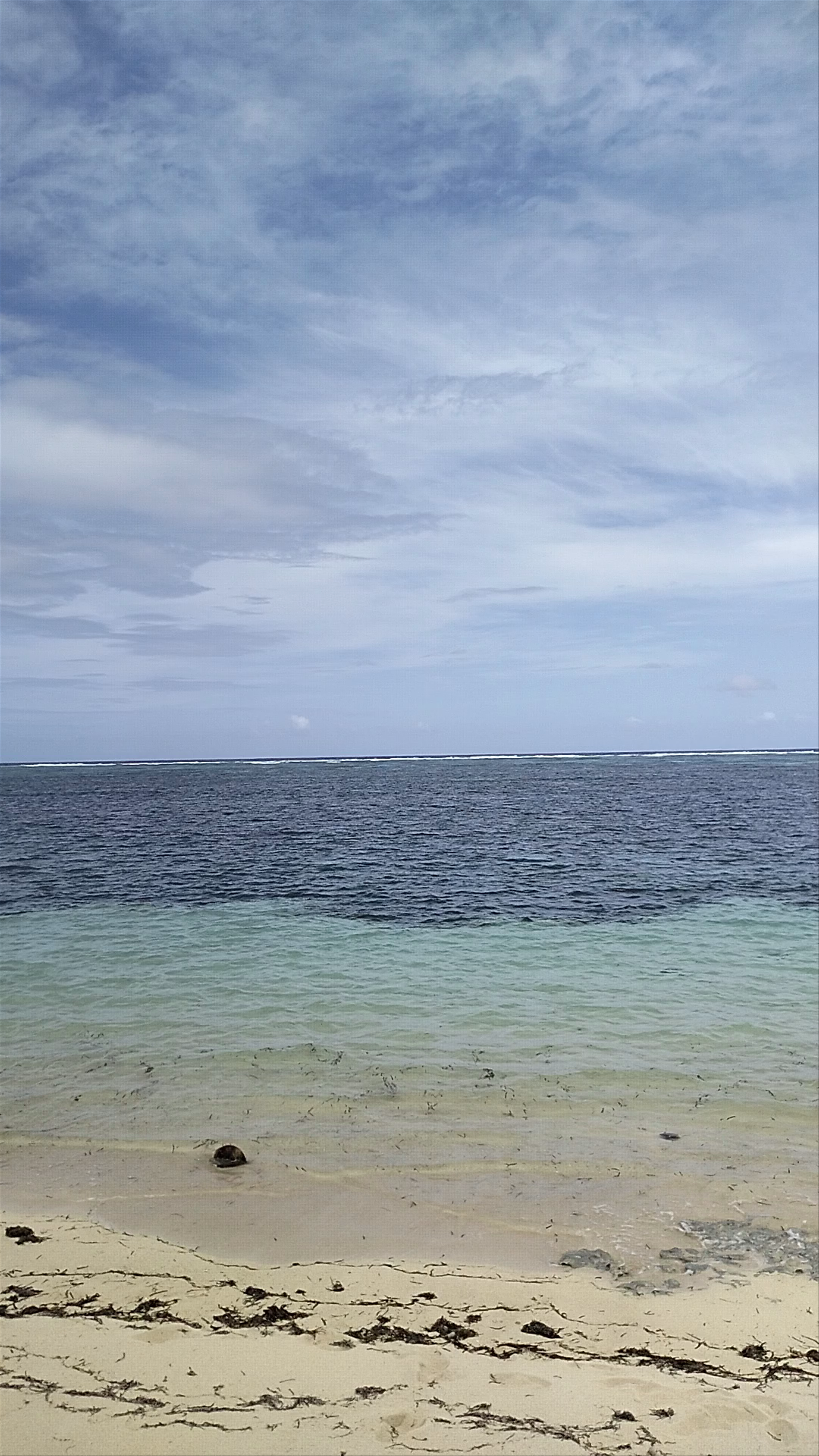 Alegria Beach: Serene Tropical Escape in Santa Monica, Surigao del Norte