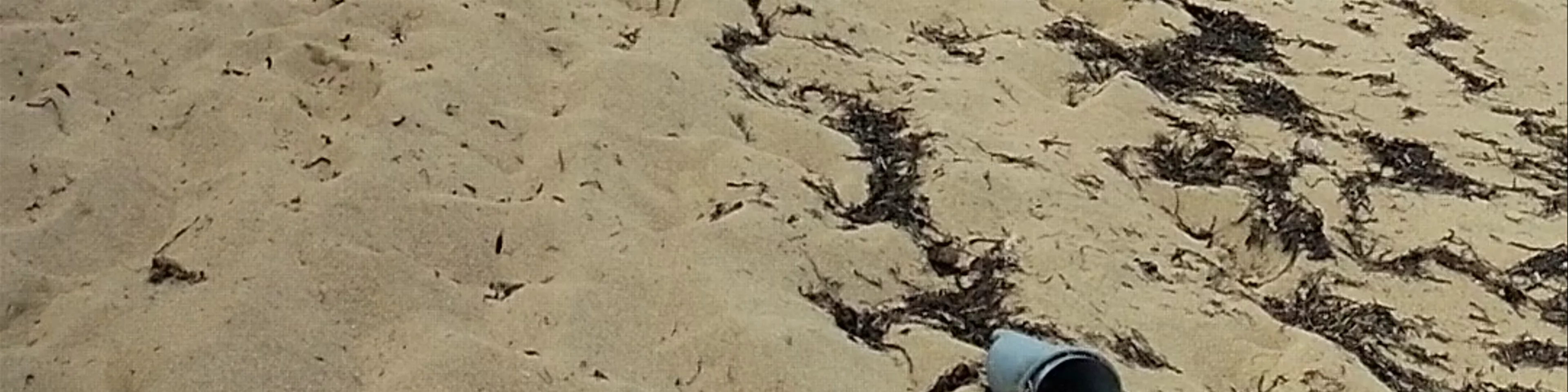 Alegria Beach