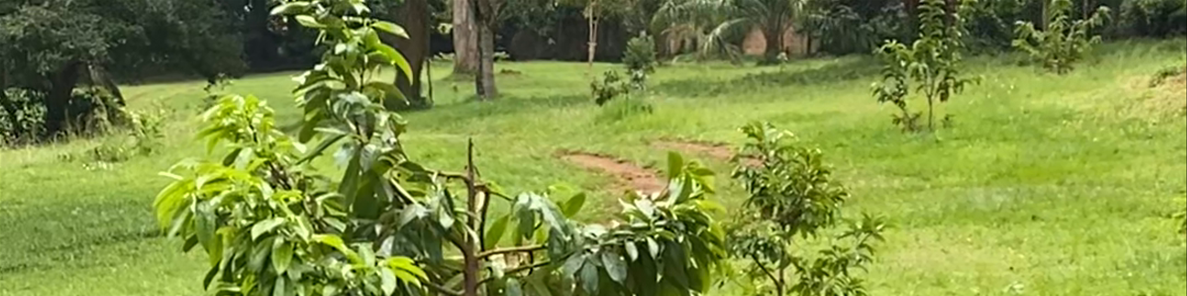 Uganda