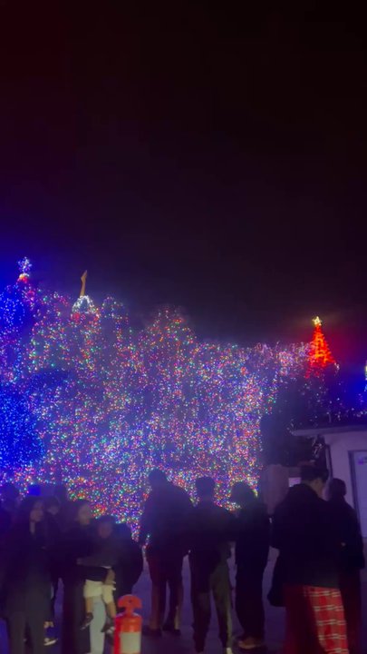 Deacon Dave's Christmas Lights - Deacon Dave (outside) - Holiday Decorating Services Near Me - Livermore, California