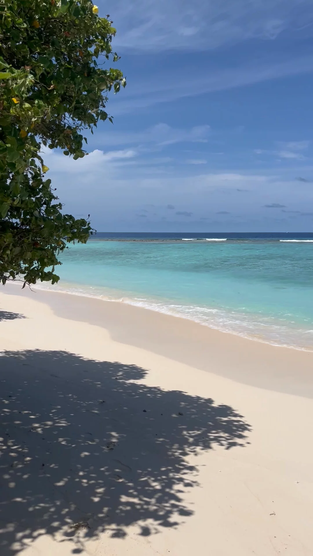 Maldives on a Budget: Affordable Travel Guide