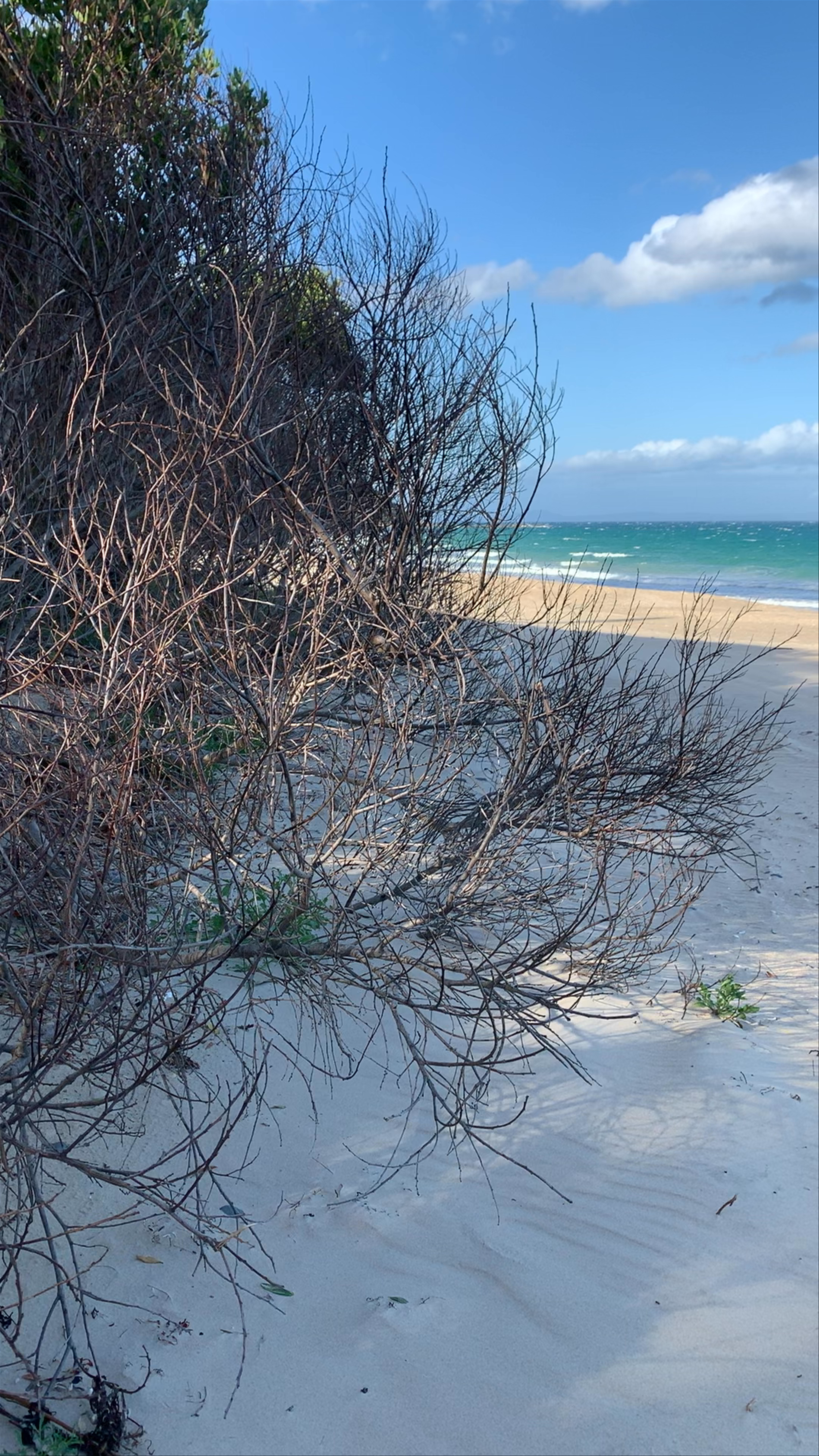 Mayfield Bay: Secluded Coastal Bliss in Rocky Hills, Tasmania