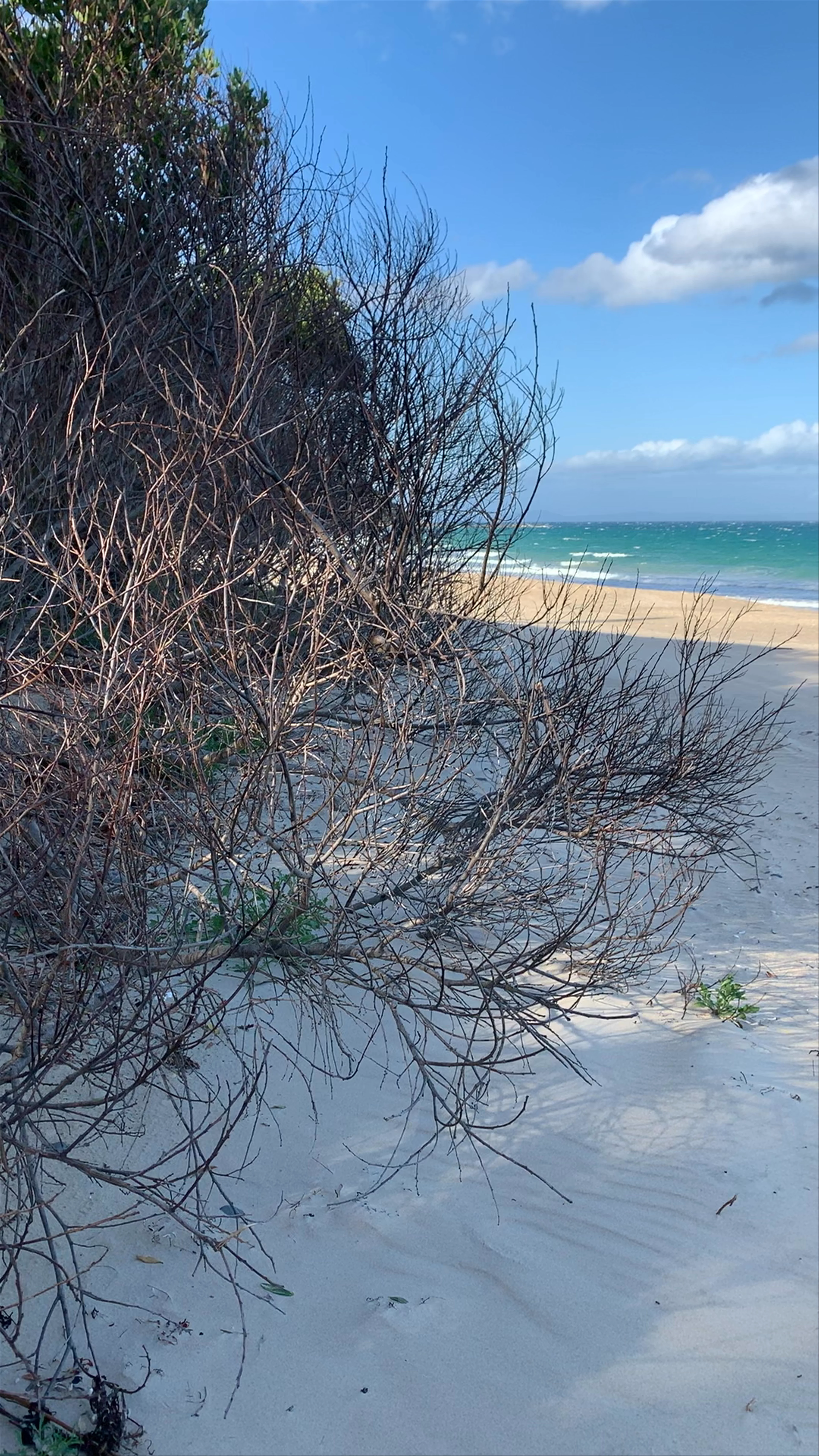 Mayfield Bay