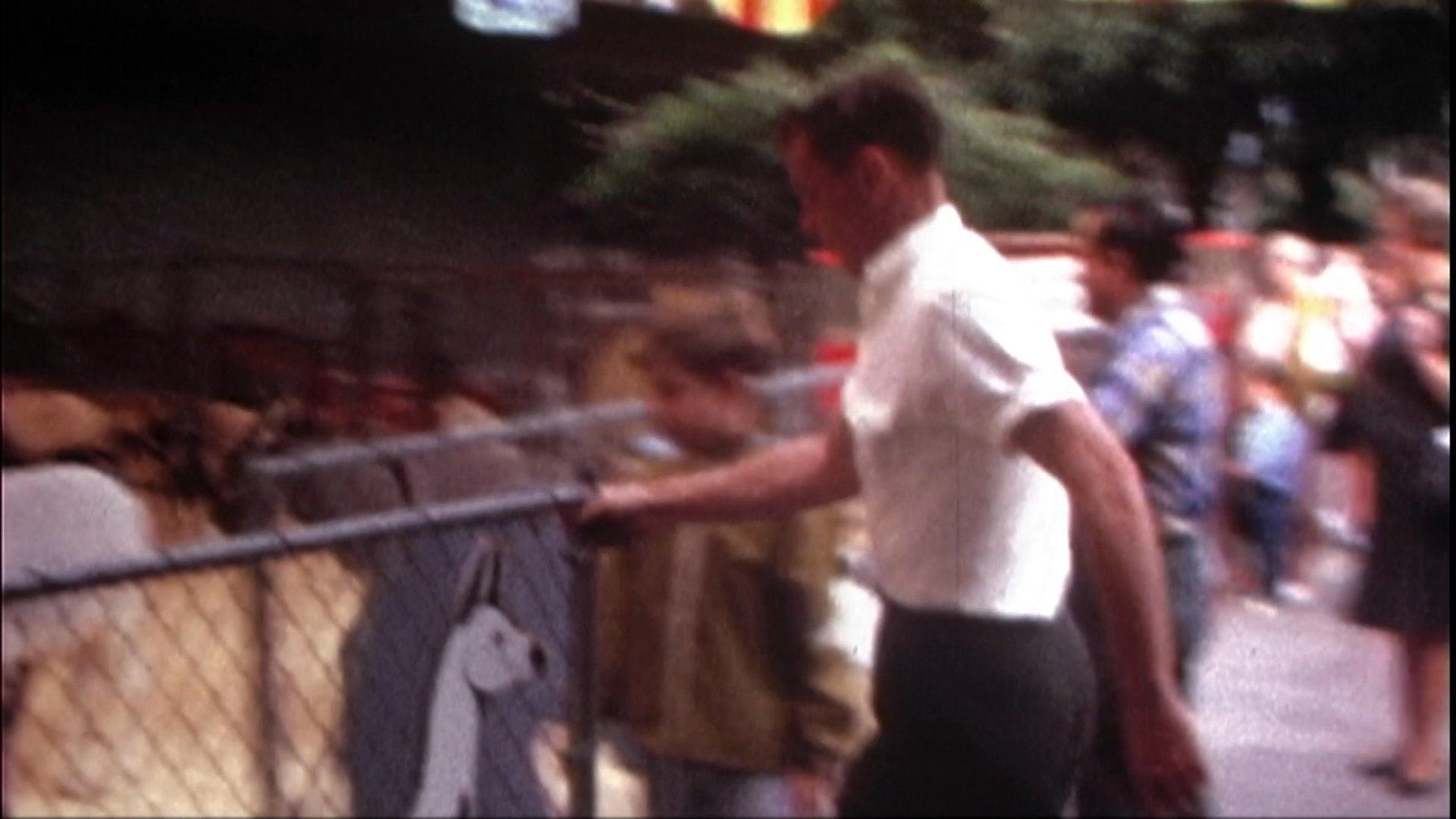 A traveling petting zoo transports animals to a fairground exhibit before shifting focus to an interview with a man in a wood-paneled space.