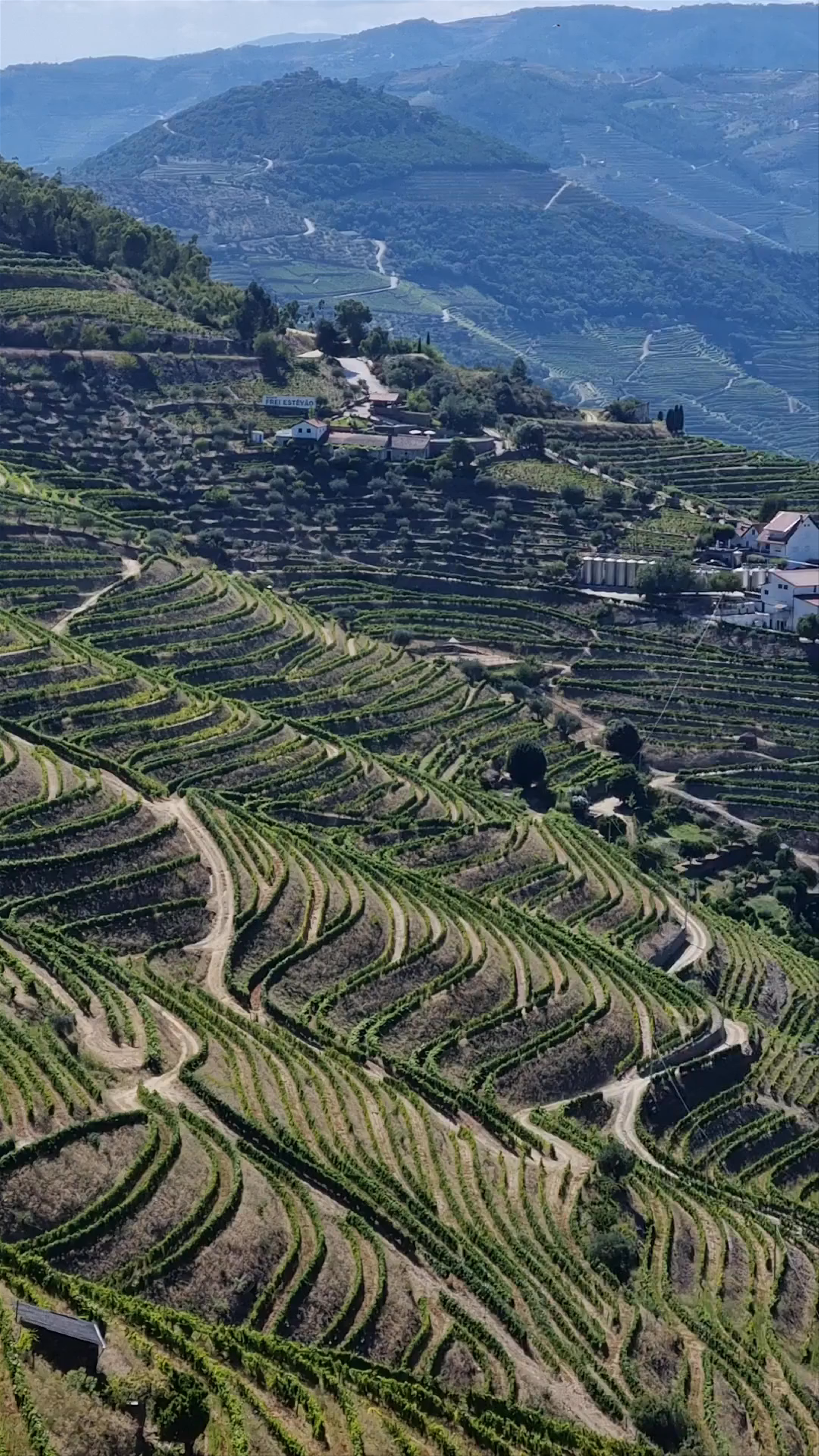 Miradouro da Abelheira