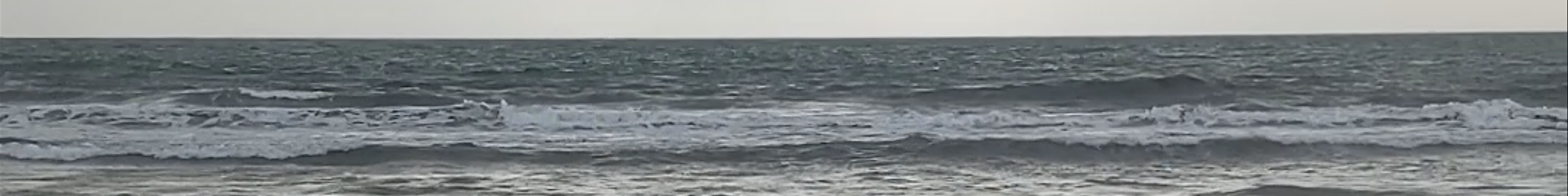 Tours & experiences in Anjuna