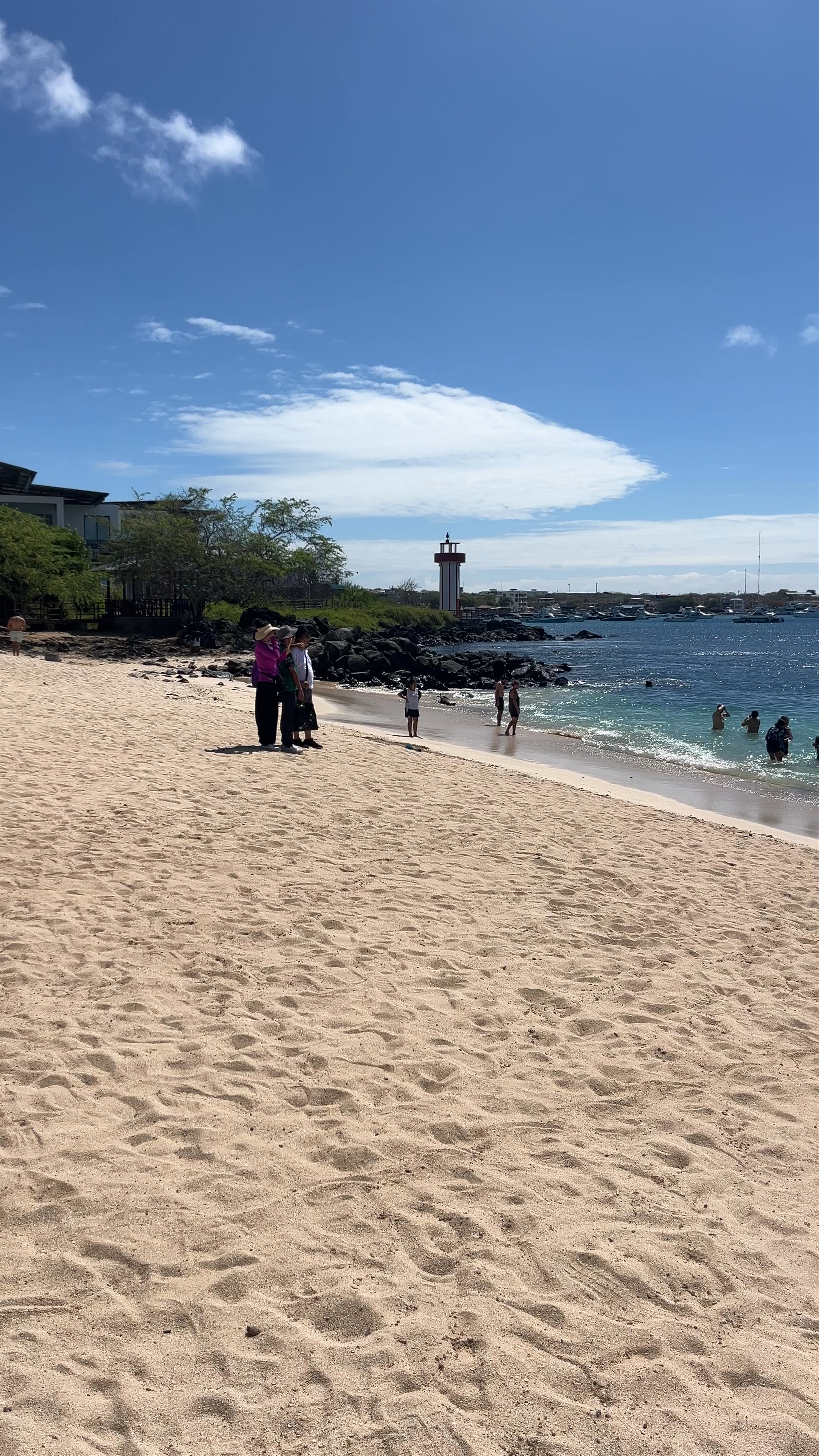 Playa Mann
