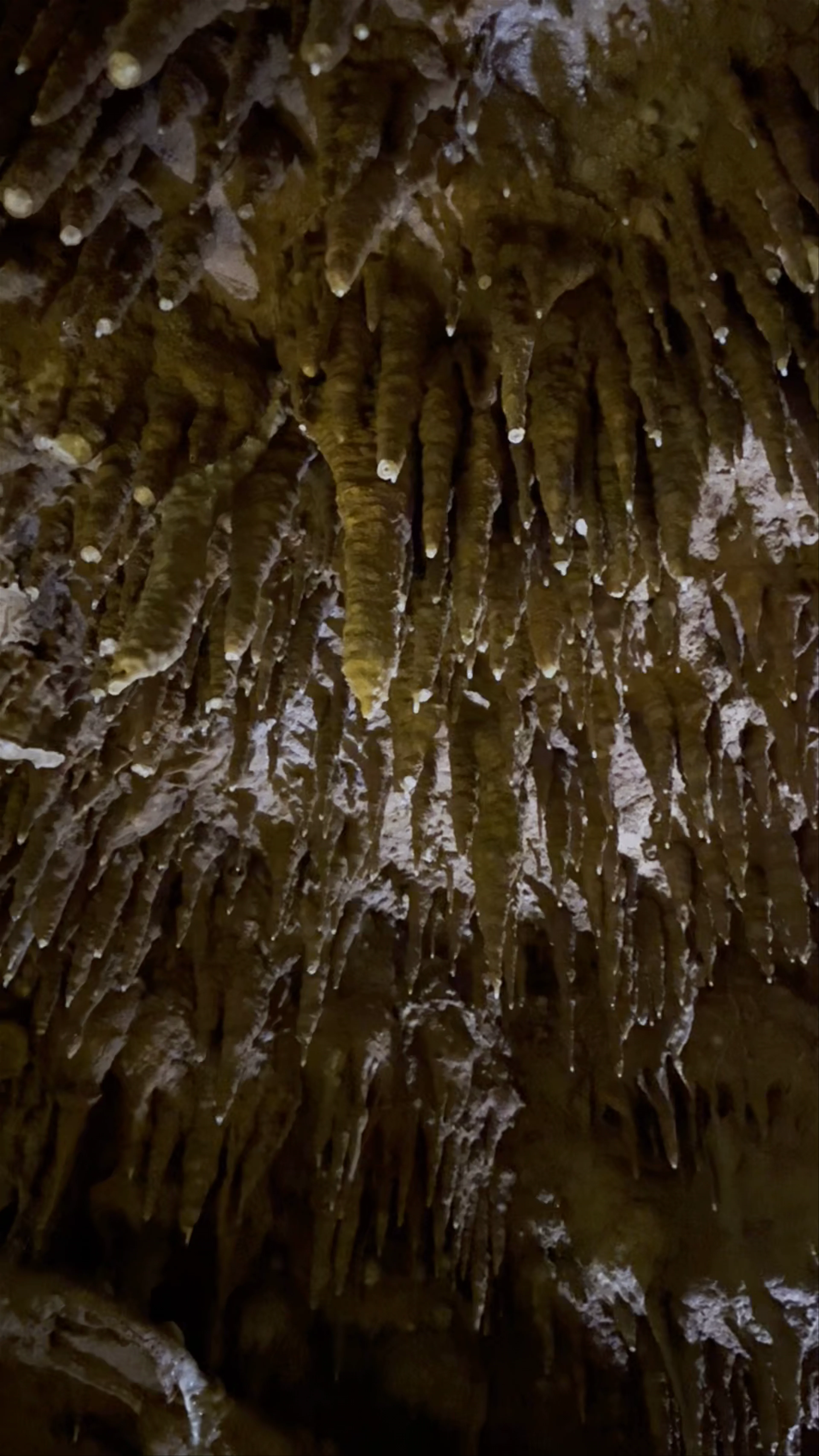 Gyokusendo Cave
