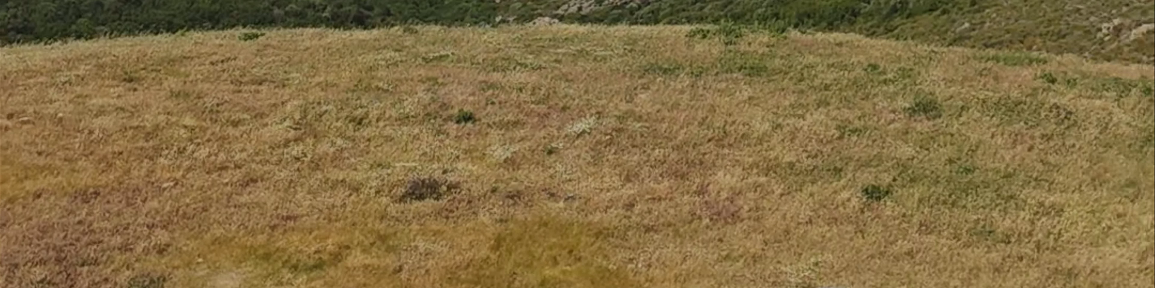 Chjassu di I Duganeri - sentier des douaniers