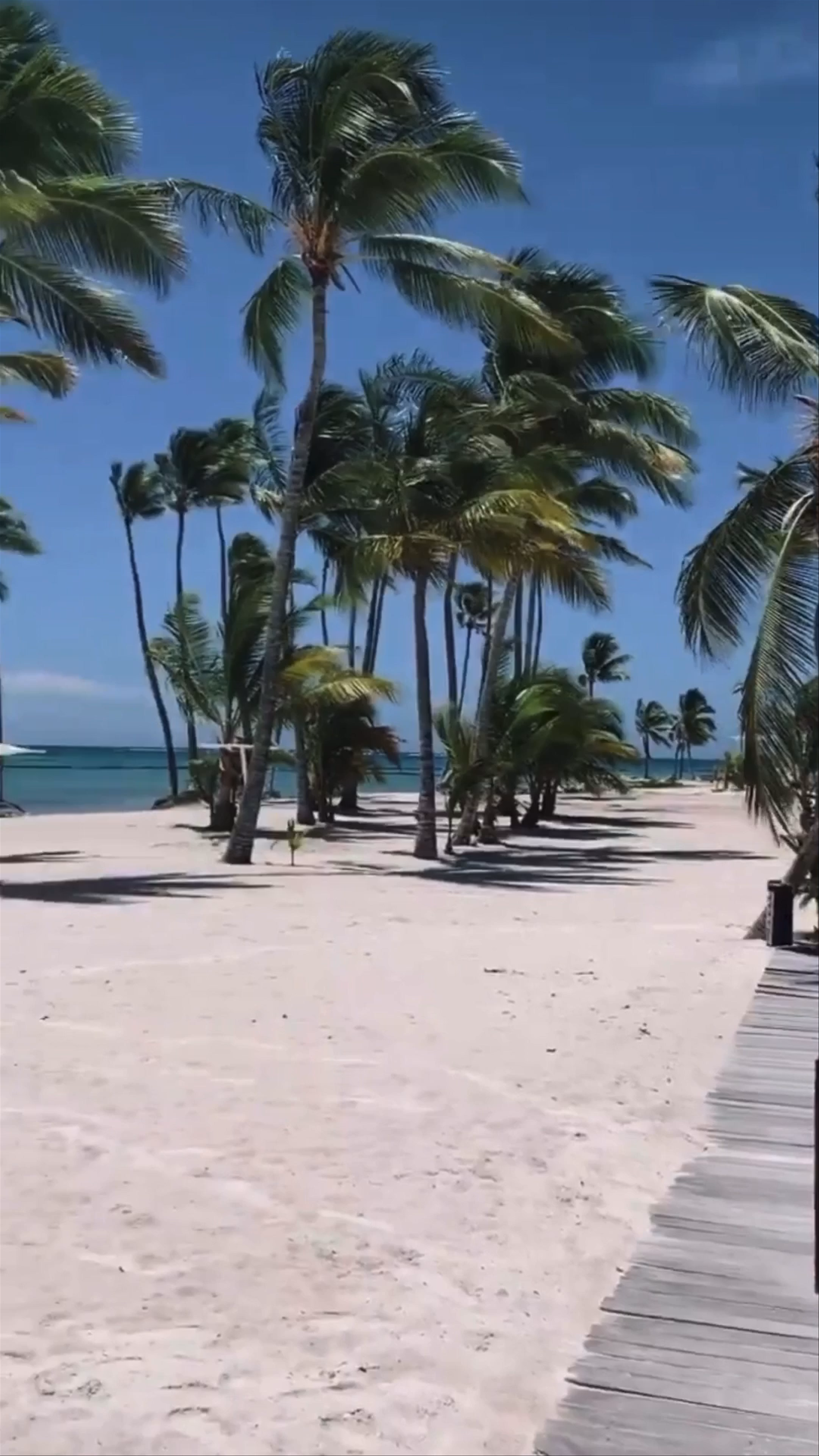 Blue Mango Beach Hotel