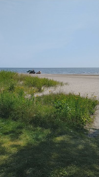 Lakefront Park - Grooming the beach - Parks Near Me - Manitowoc, Wisconsin