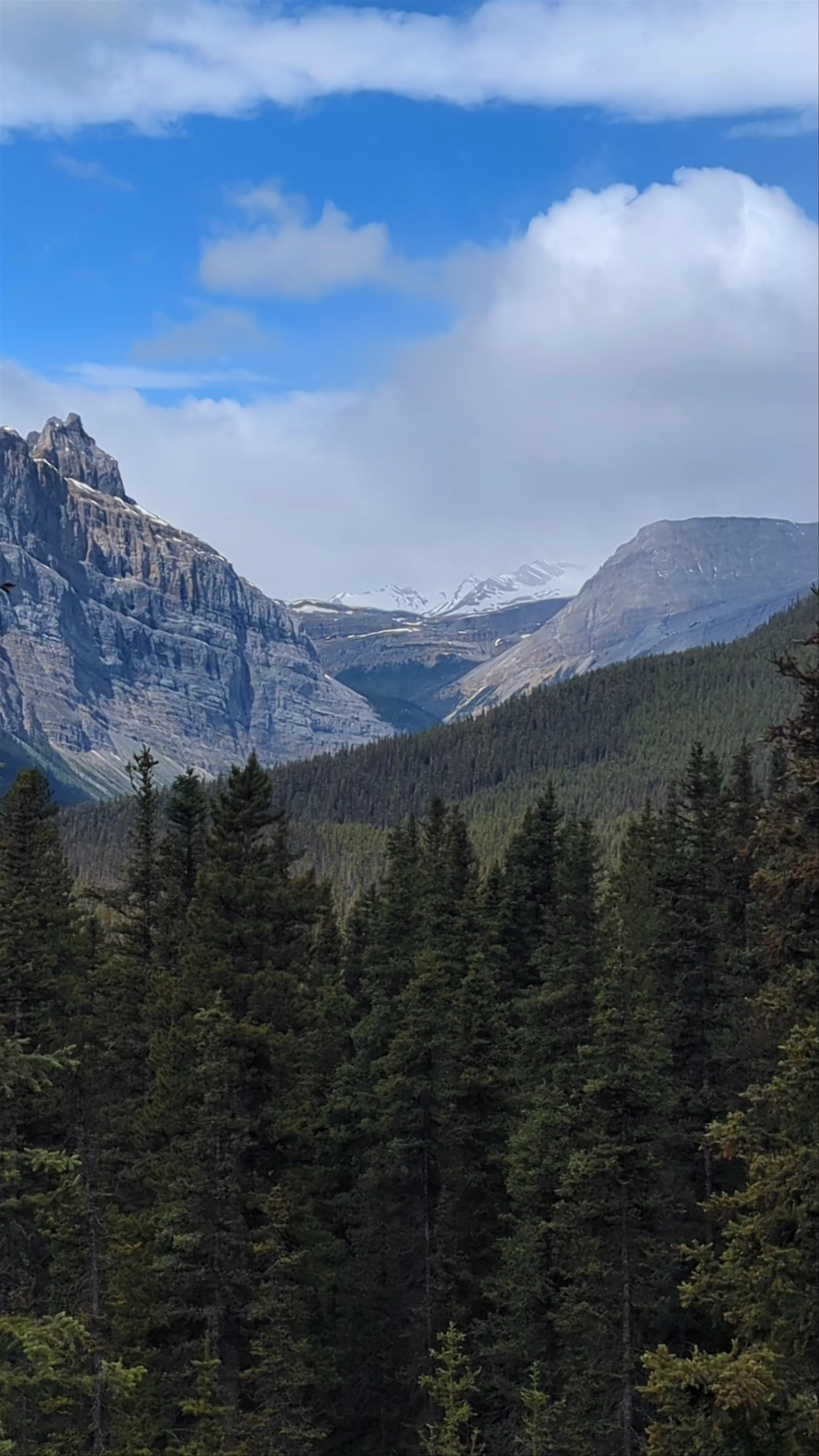 Icefields Parkway, Trans-Canada Highway