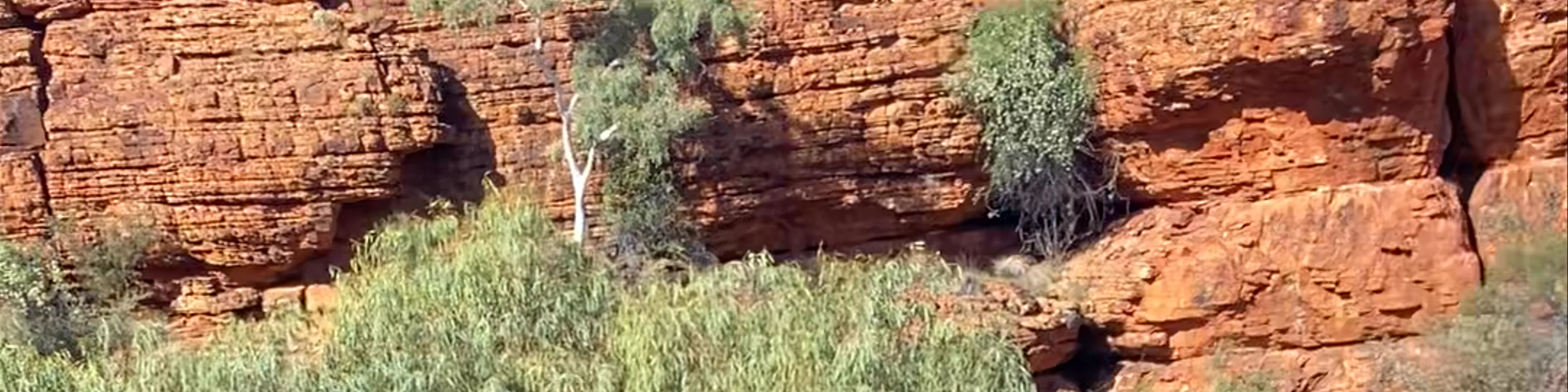 Kings Canyon