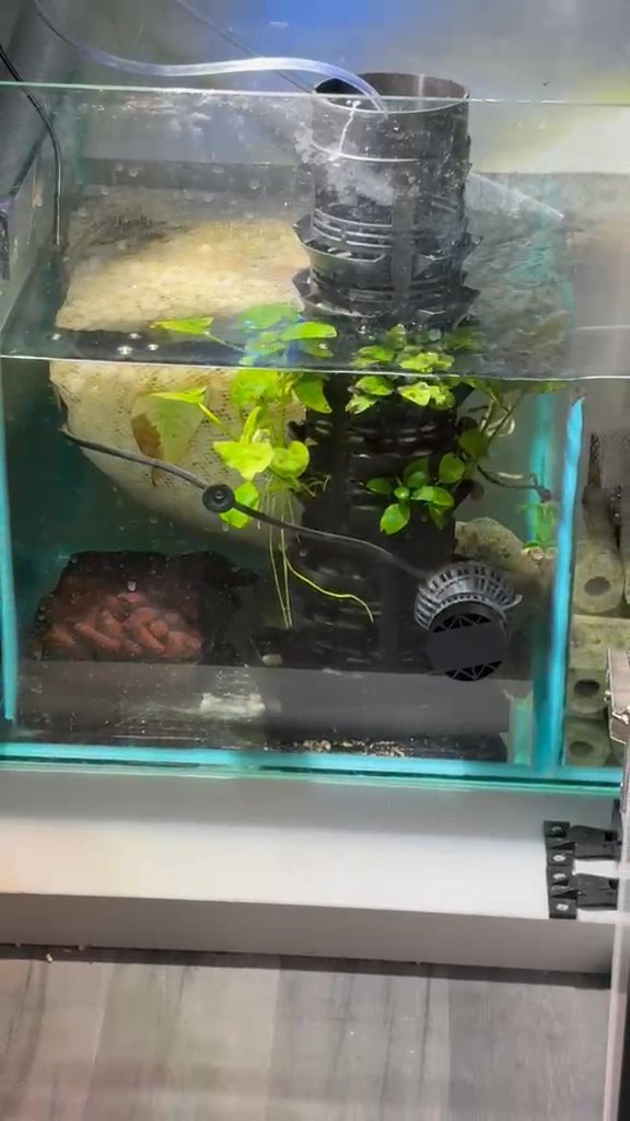 Aquarium with fish
