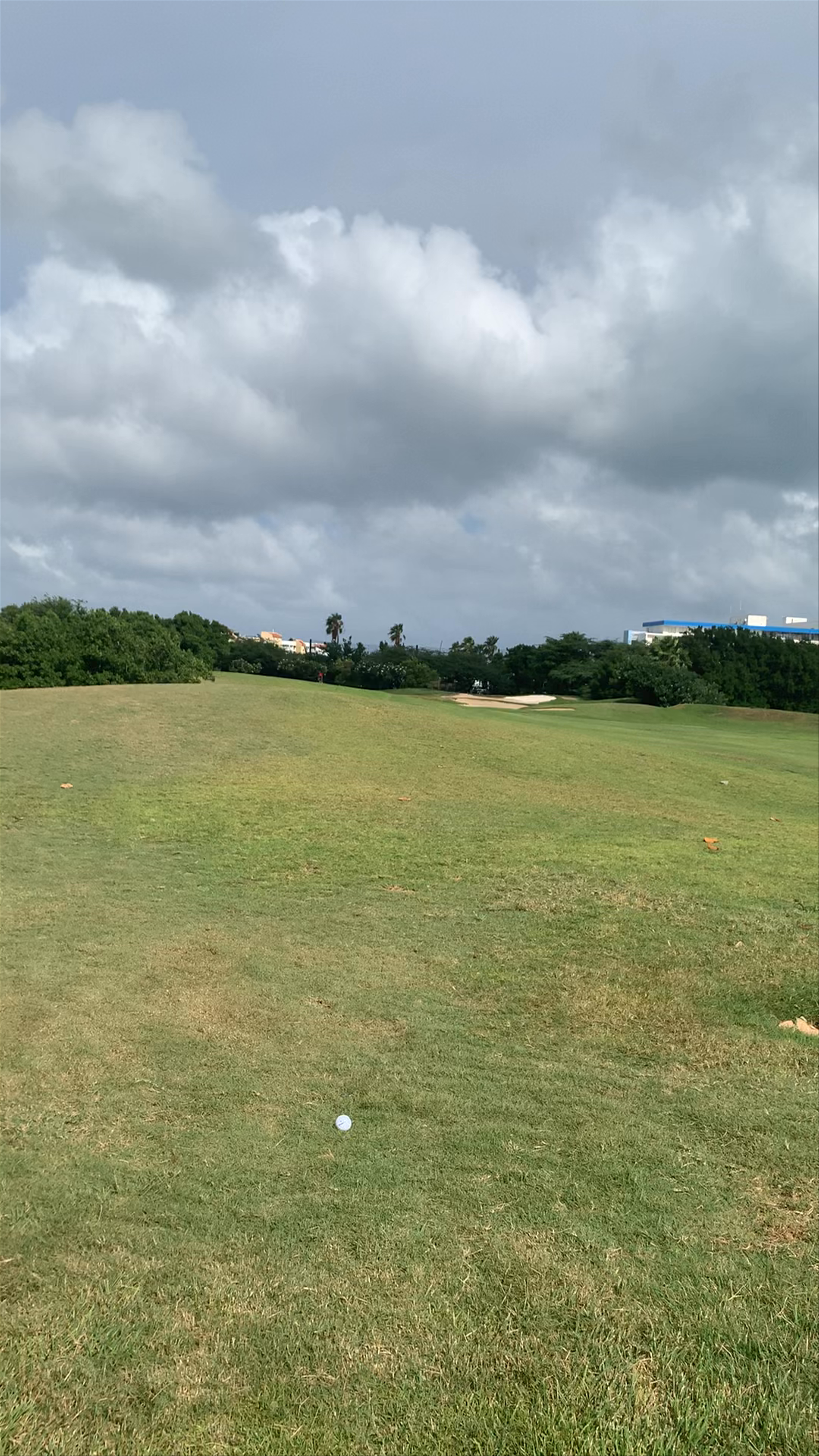 The Links at Divi Aruba Golf Course