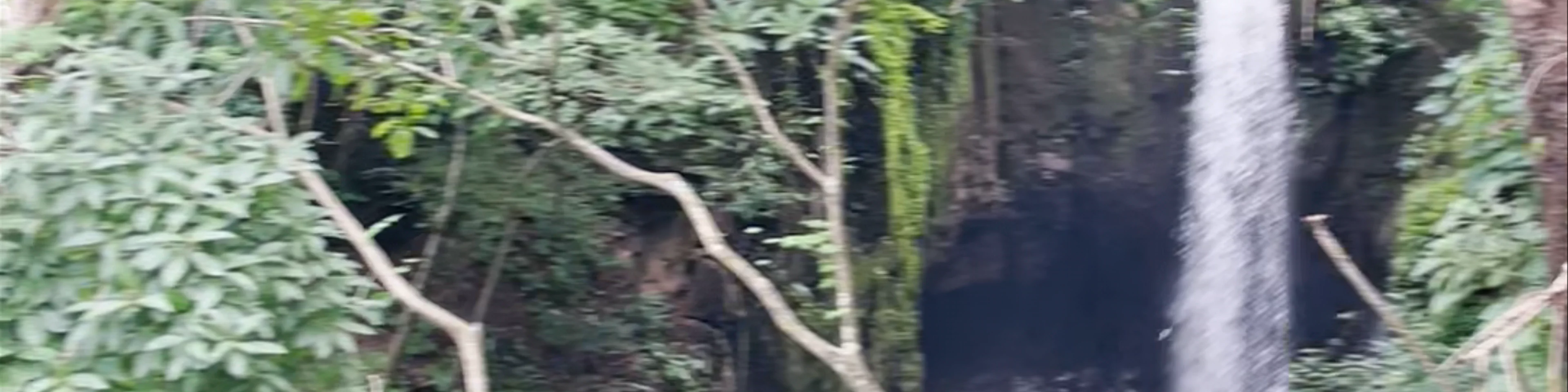 Trips & Tours Cascadas Tamanique