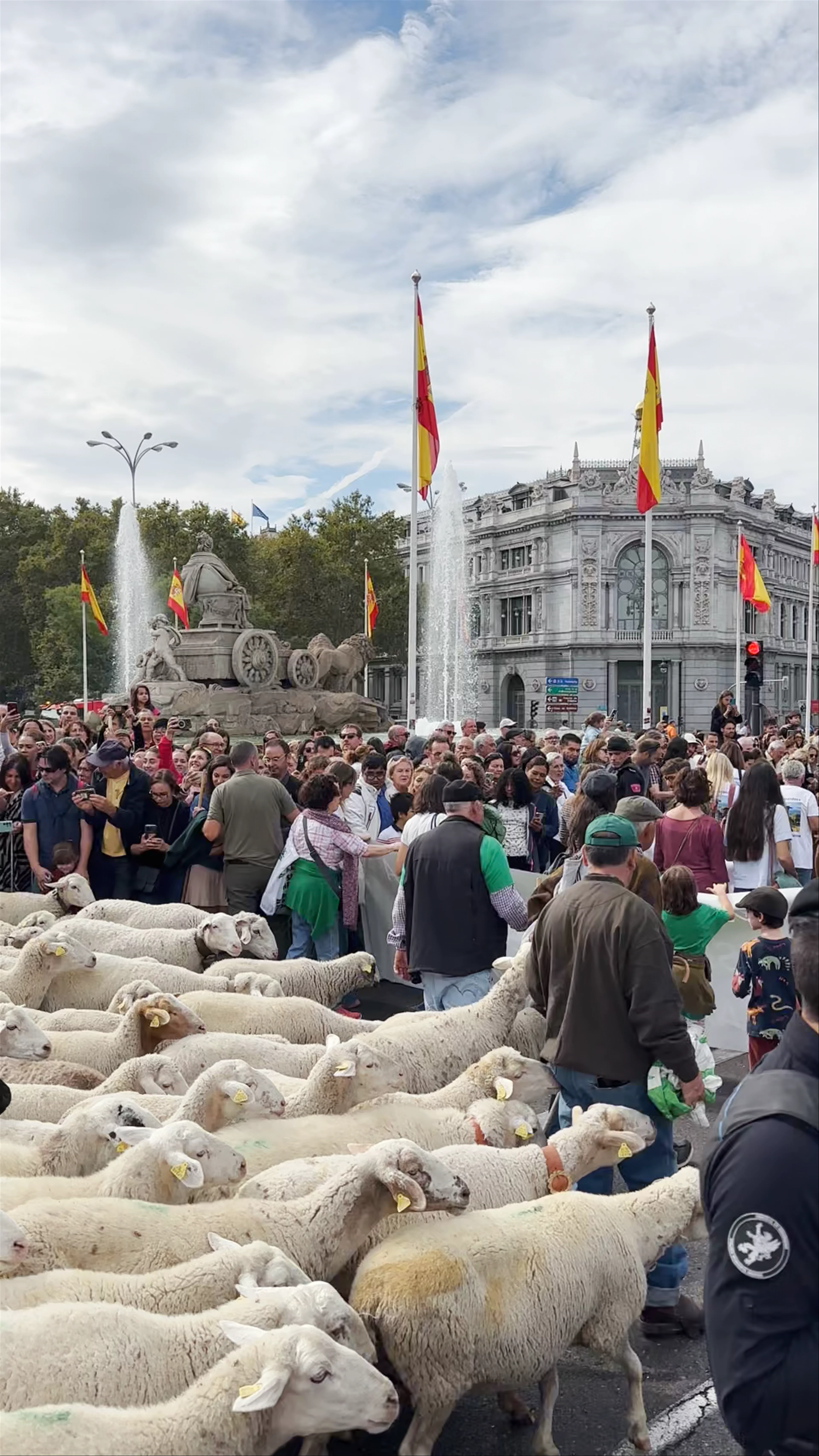 Madrid central