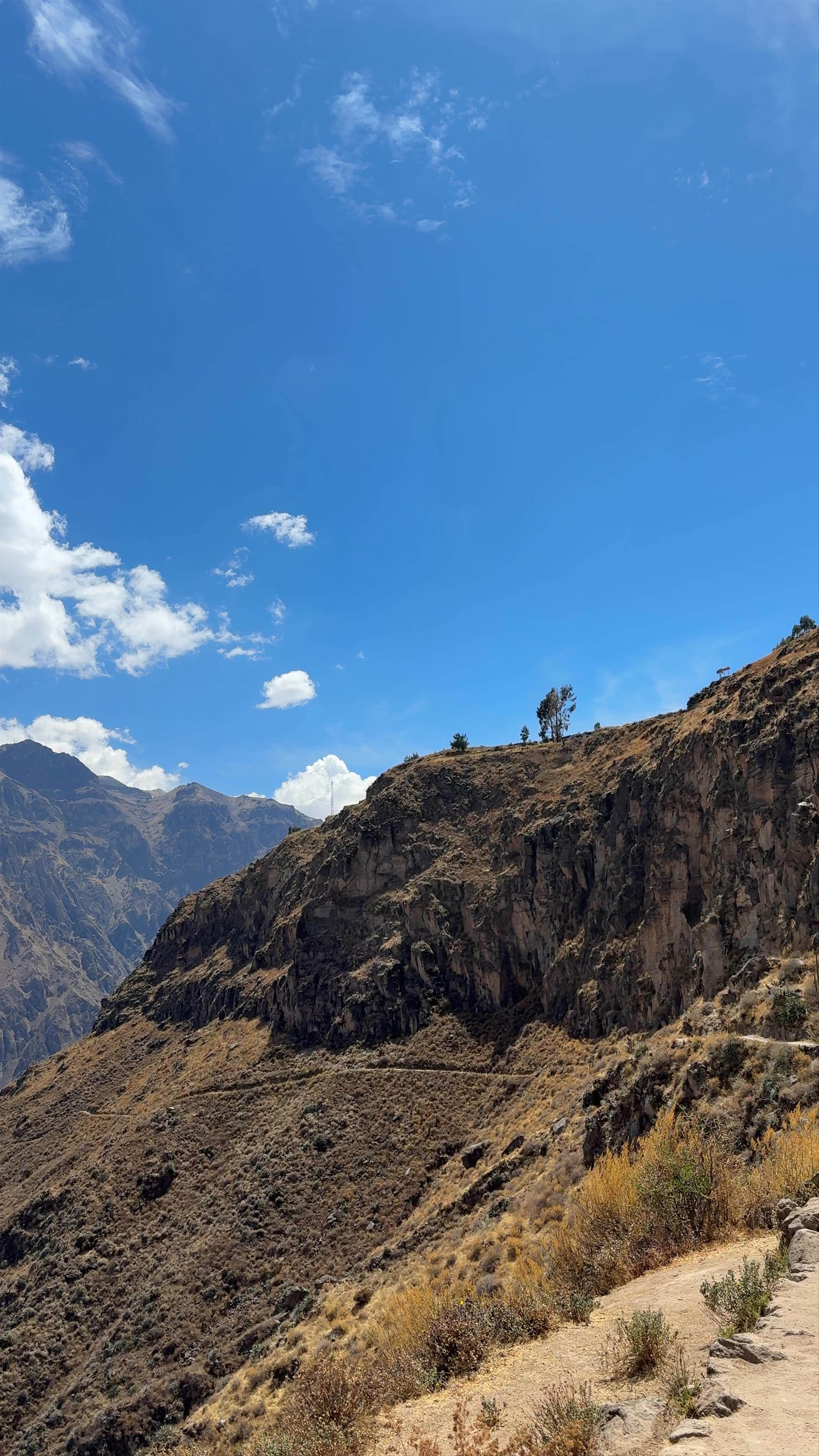 Mirador de San Miguel