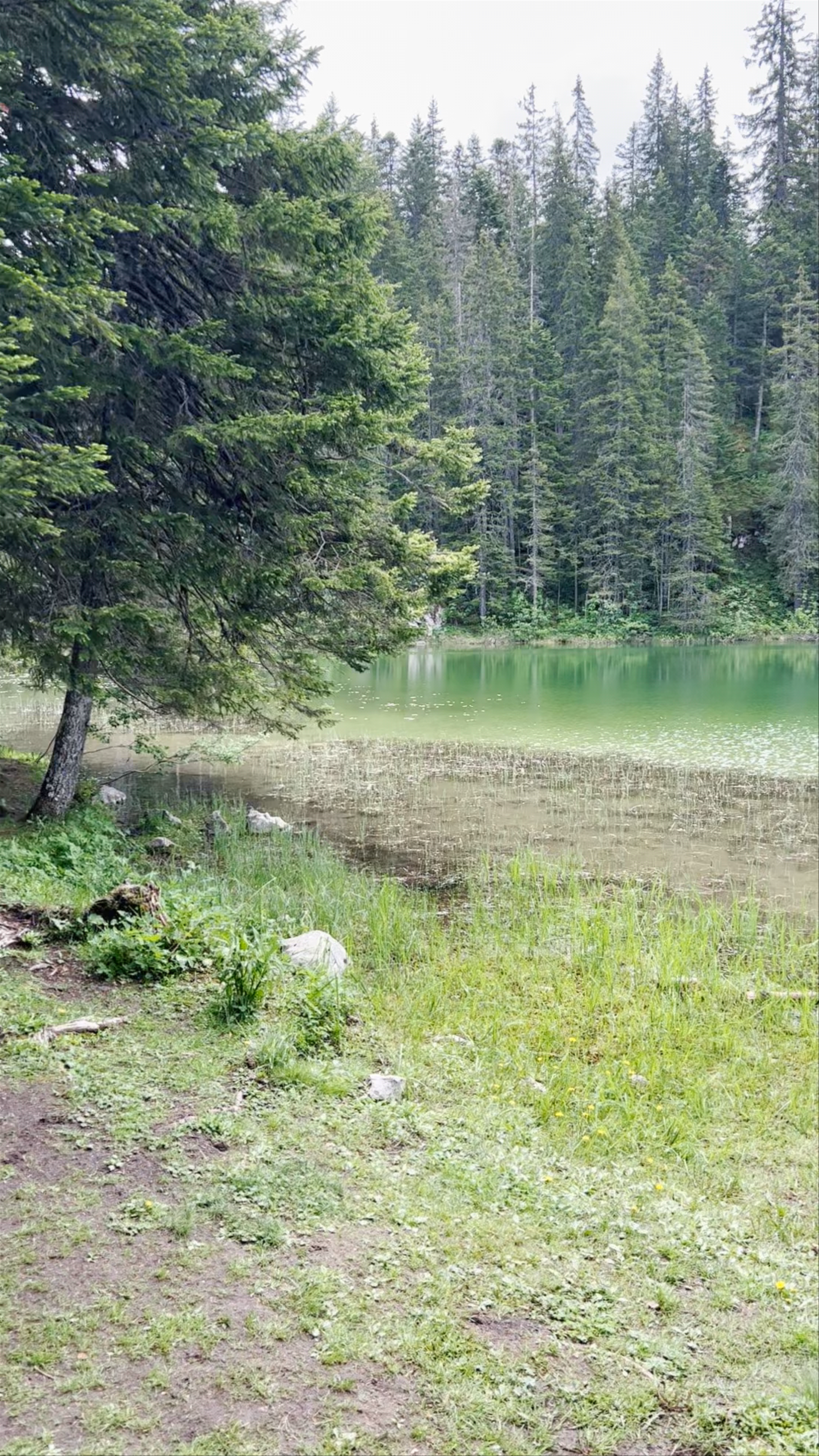 Zminje Jezero: Serene Mountain Lake in Montenegro