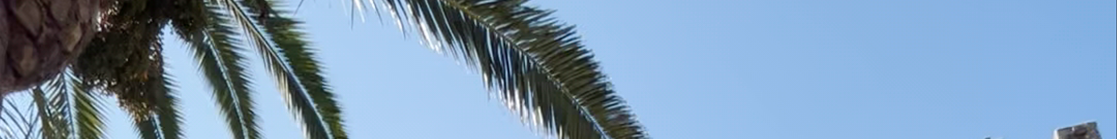 Tours & experiences in Alcúdia