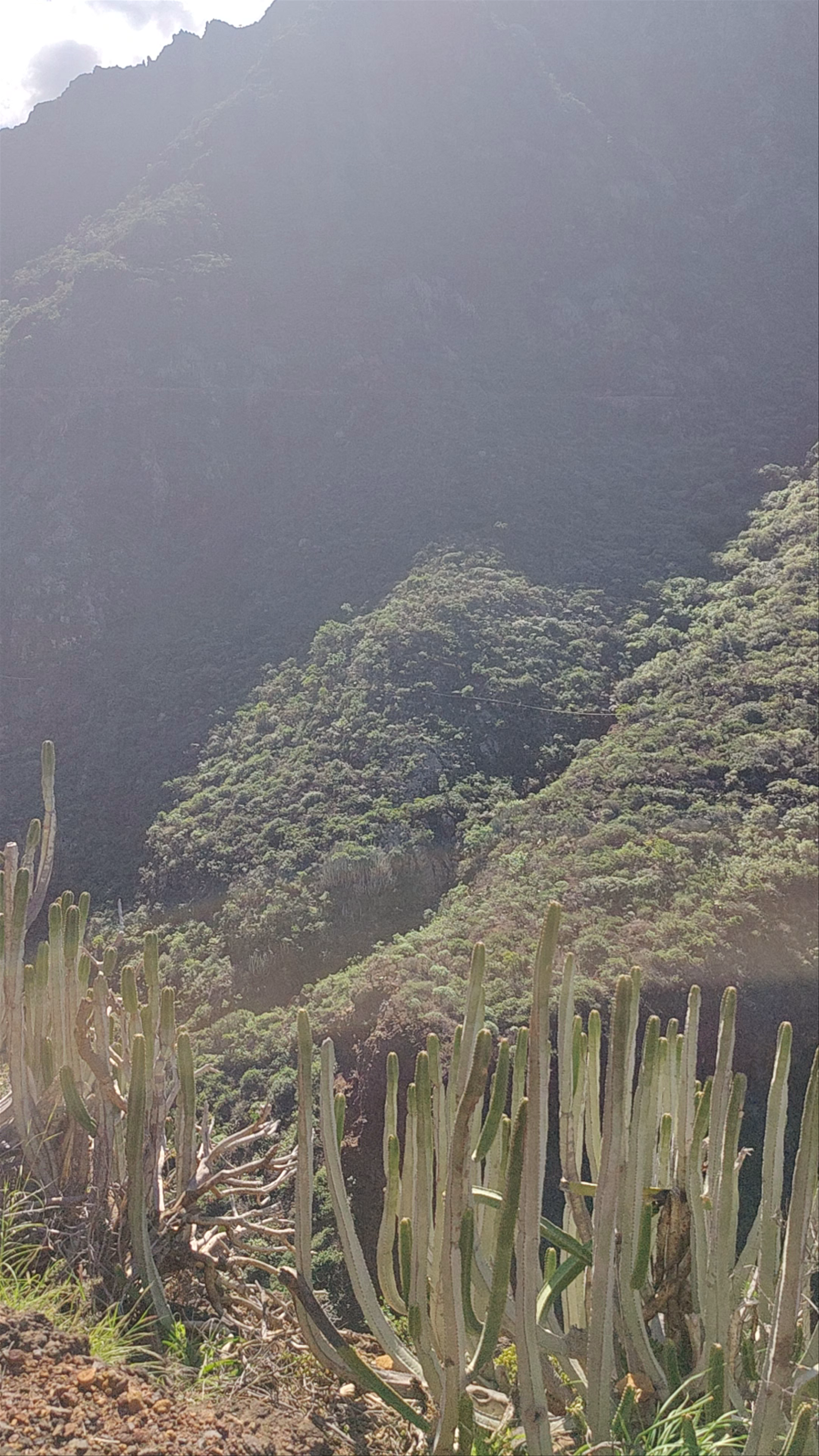 Punto Del Hidalgo Senderismo: Rugged Hiking in La Laguna, Tenerife