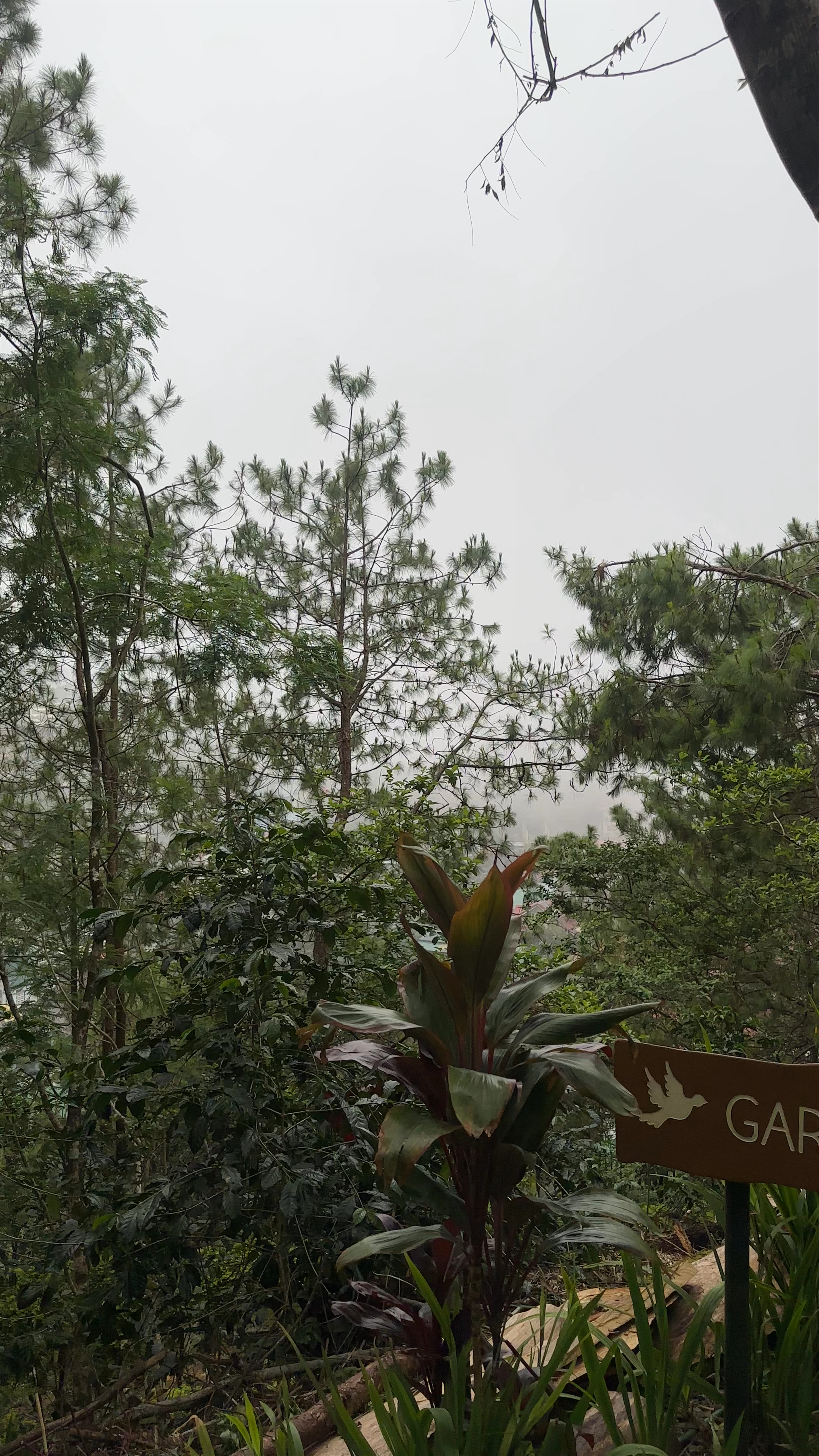 Mirador Heritage and Eco Park