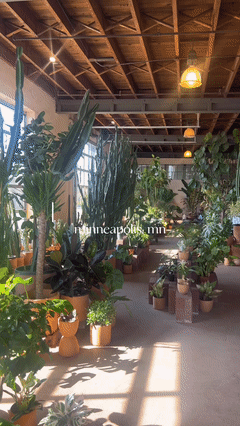 Mother Co., Plants