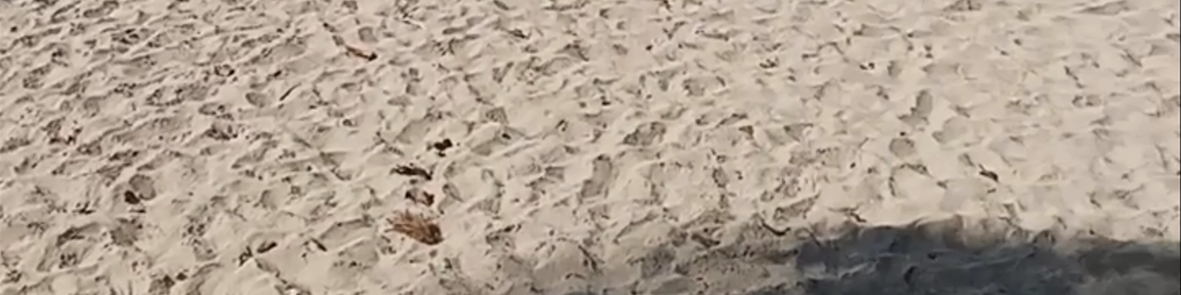 Nui Beach